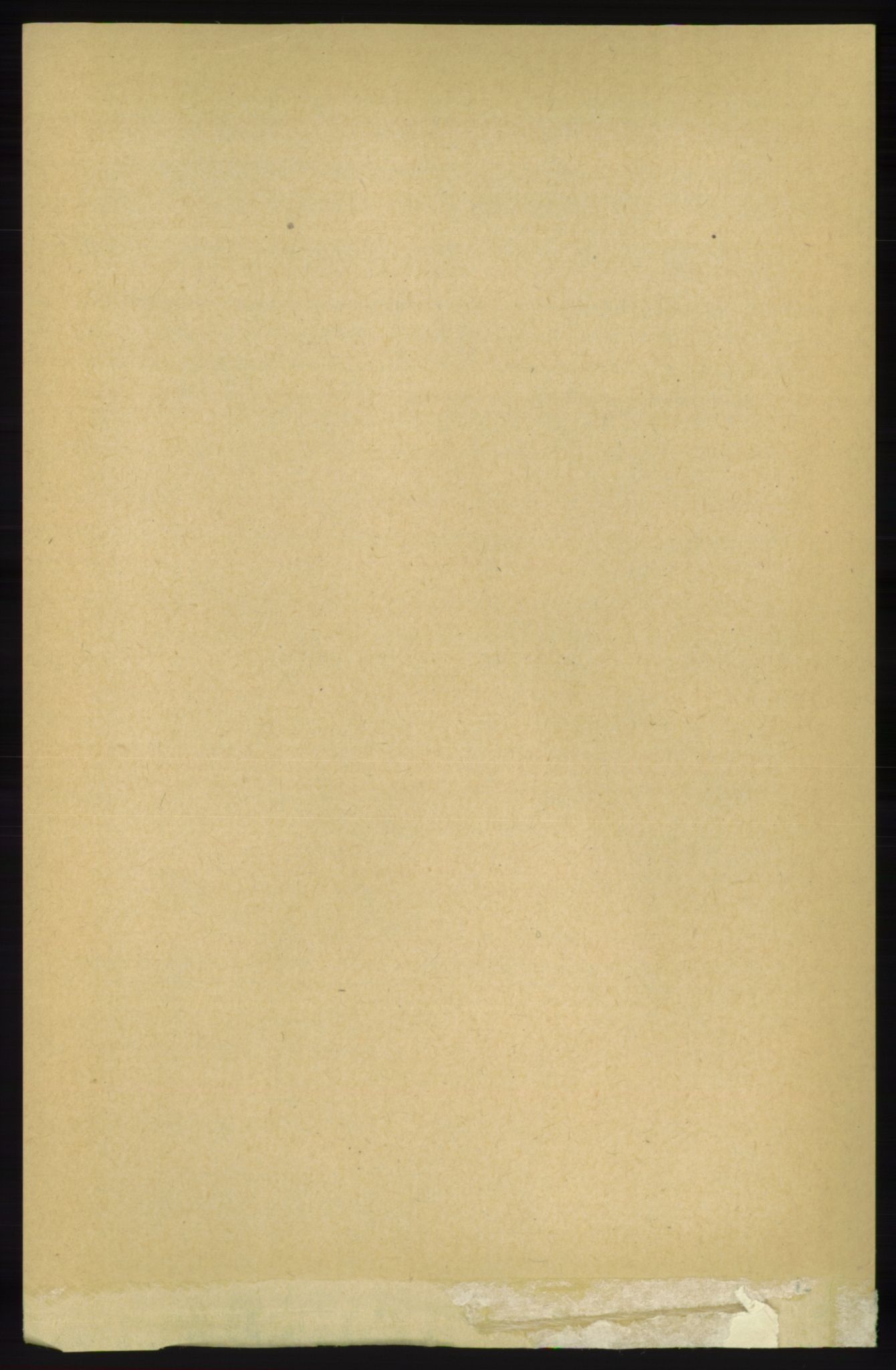 RA, 1891 census for 1138 Jelsa, 1891, p. 2425