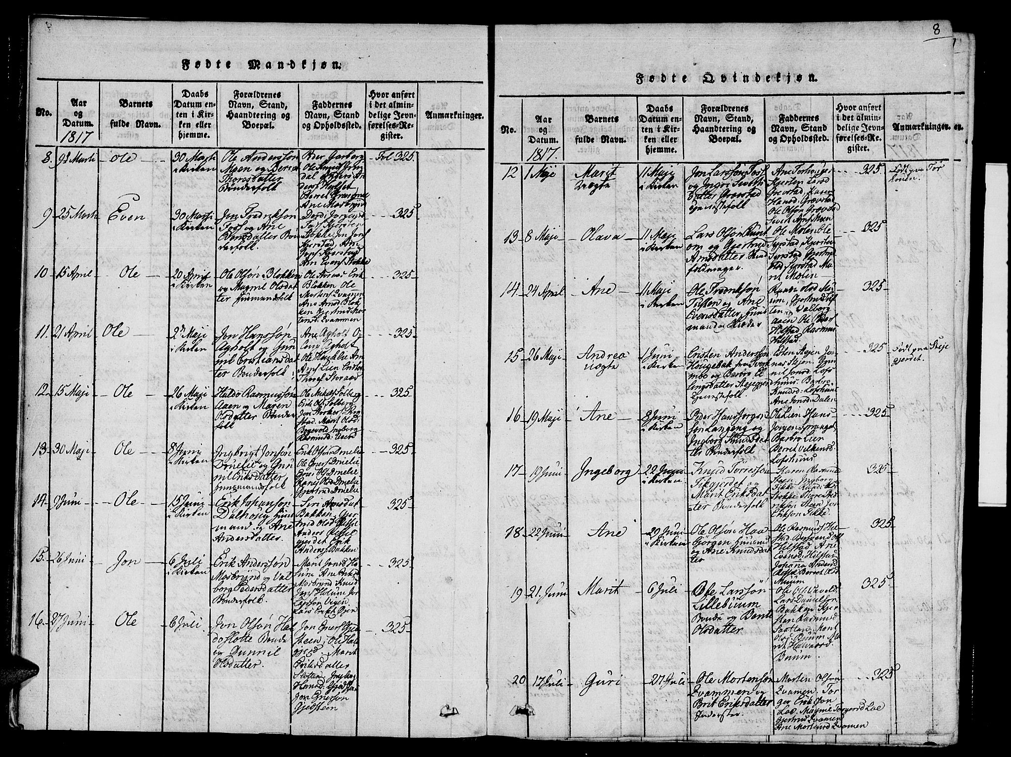 Ministerialprotokoller, klokkerbøker og fødselsregistre - Sør-Trøndelag, AV/SAT-A-1456/672/L0853: Parish register (official) no. 672A06 /1, 1816-1829, p. 8