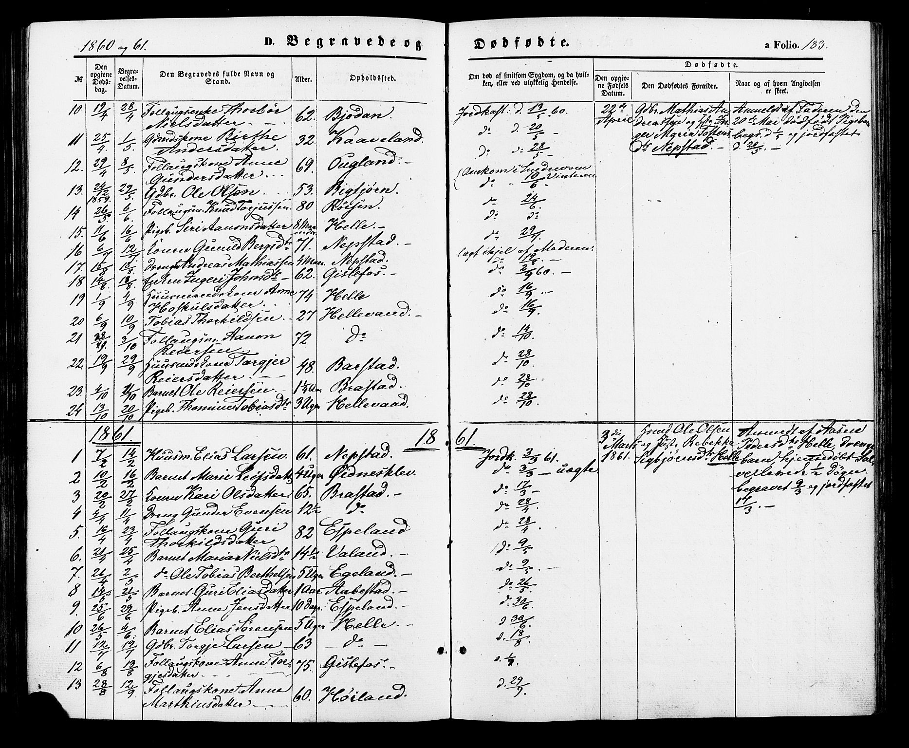 Nord-Audnedal sokneprestkontor, SAK/1111-0032/F/Fa/Faa/L0002: Parish register (official) no. A 2, 1857-1882, p. 183