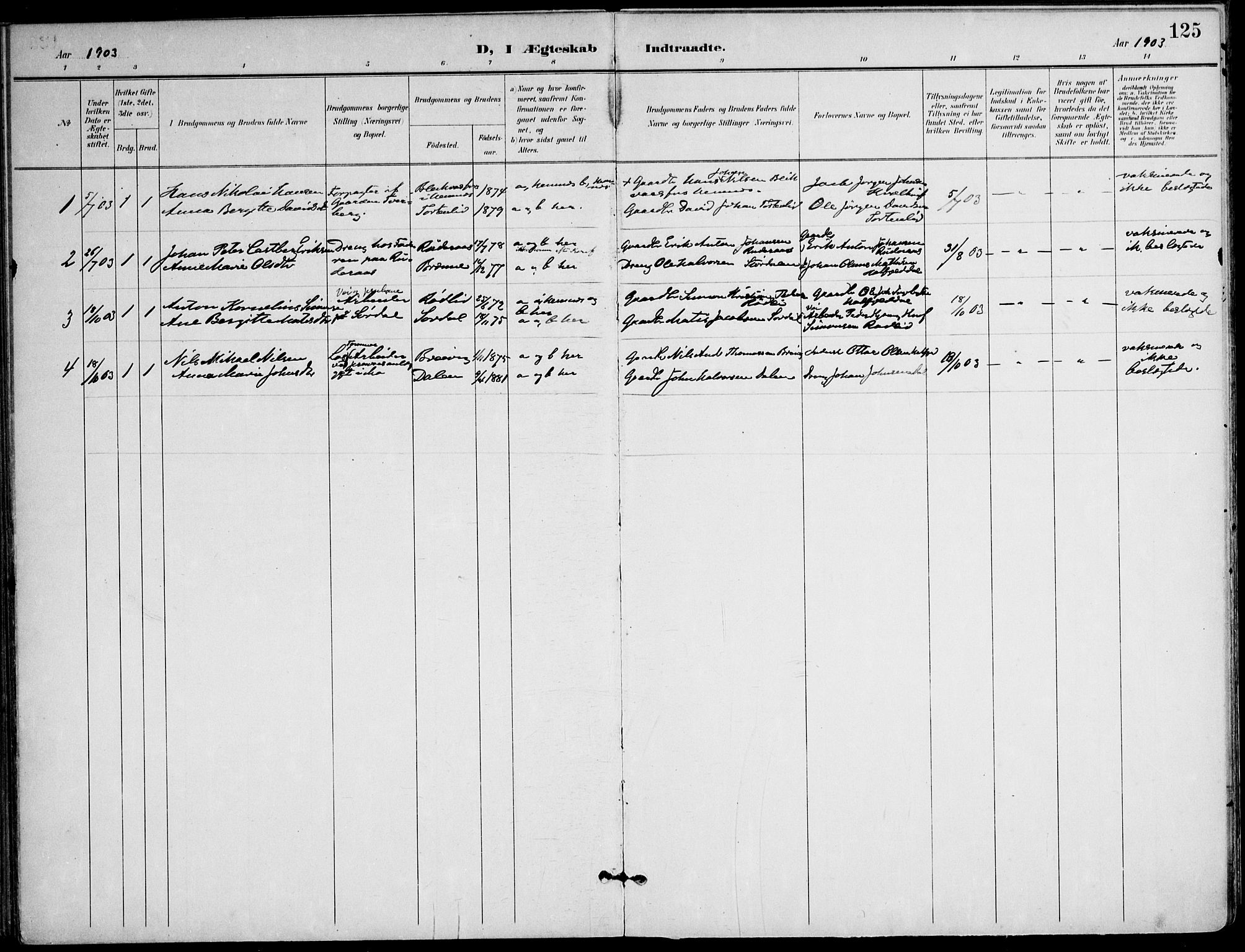 Ministerialprotokoller, klokkerbøker og fødselsregistre - Nordland, AV/SAT-A-1459/823/L0326: Parish register (official) no. 823A03, 1899-1919, p. 125