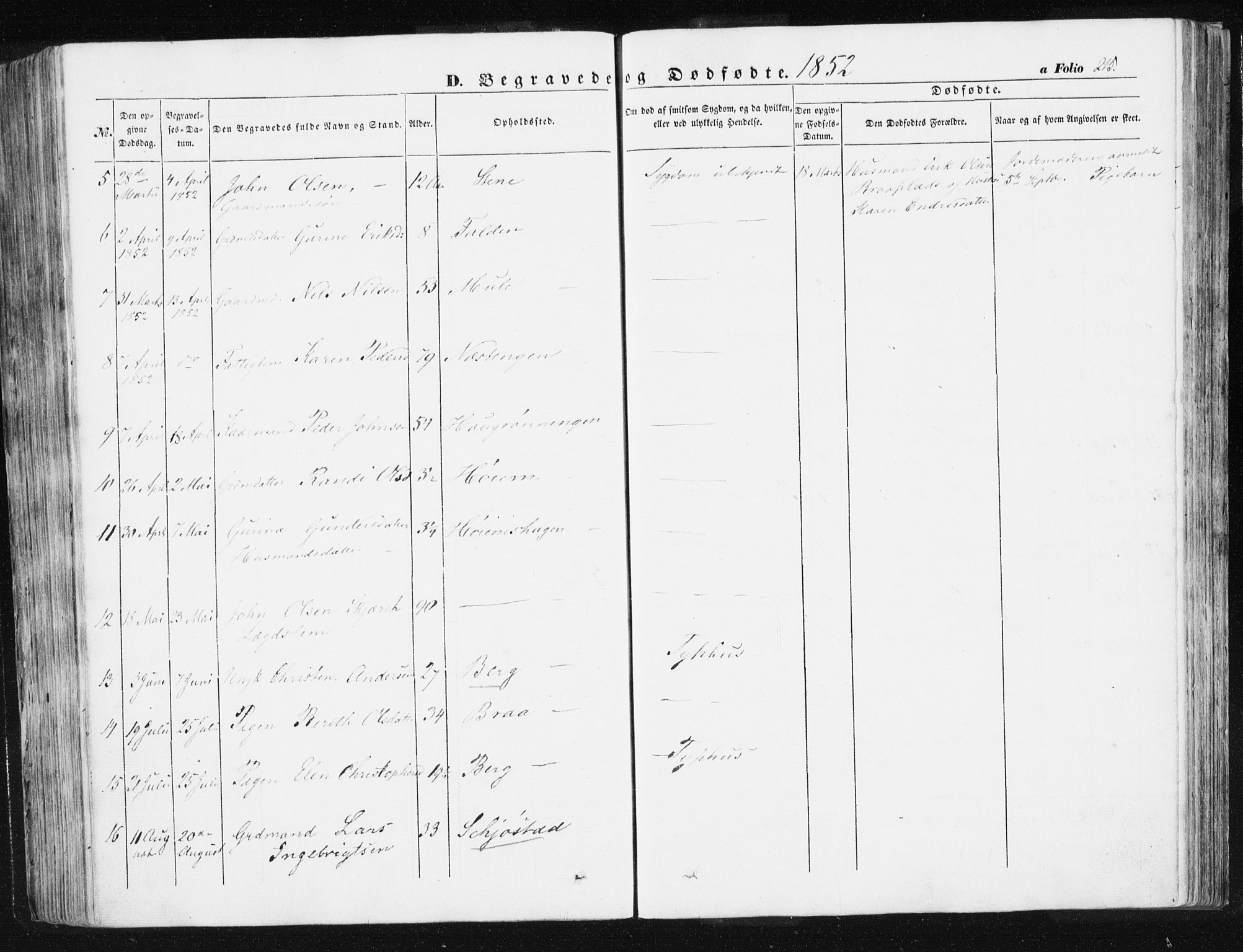Ministerialprotokoller, klokkerbøker og fødselsregistre - Sør-Trøndelag, SAT/A-1456/612/L0376: Parish register (official) no. 612A08, 1846-1859, p. 215