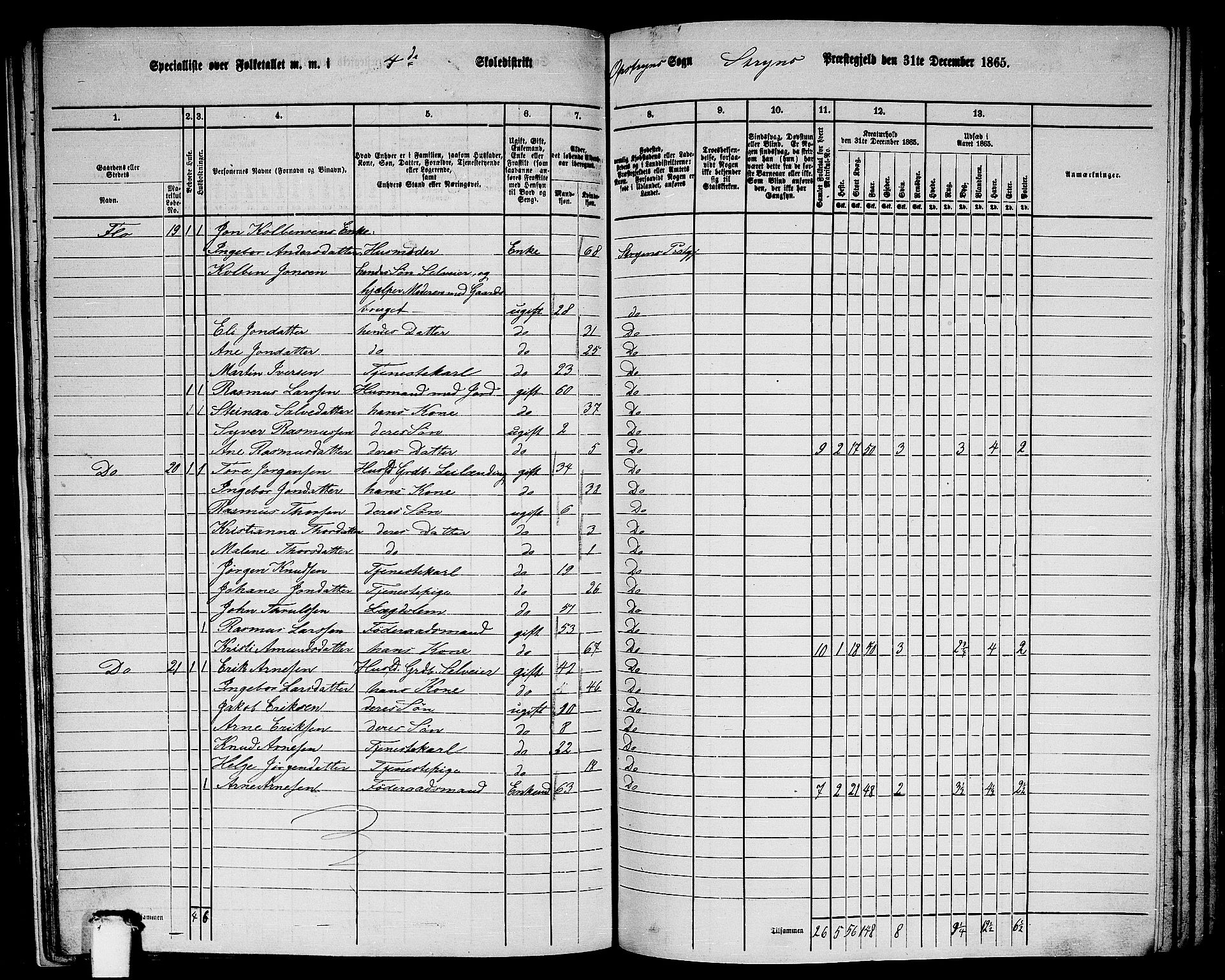 RA, 1865 census for Stryn, 1865, p. 29