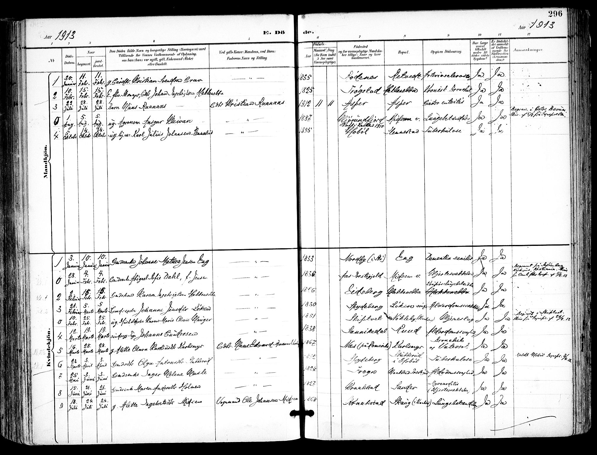 Kråkstad prestekontor Kirkebøker, SAO/A-10125a/F/Fa/L0010: Parish register (official) no. I 10, 1893-1931, p. 296
