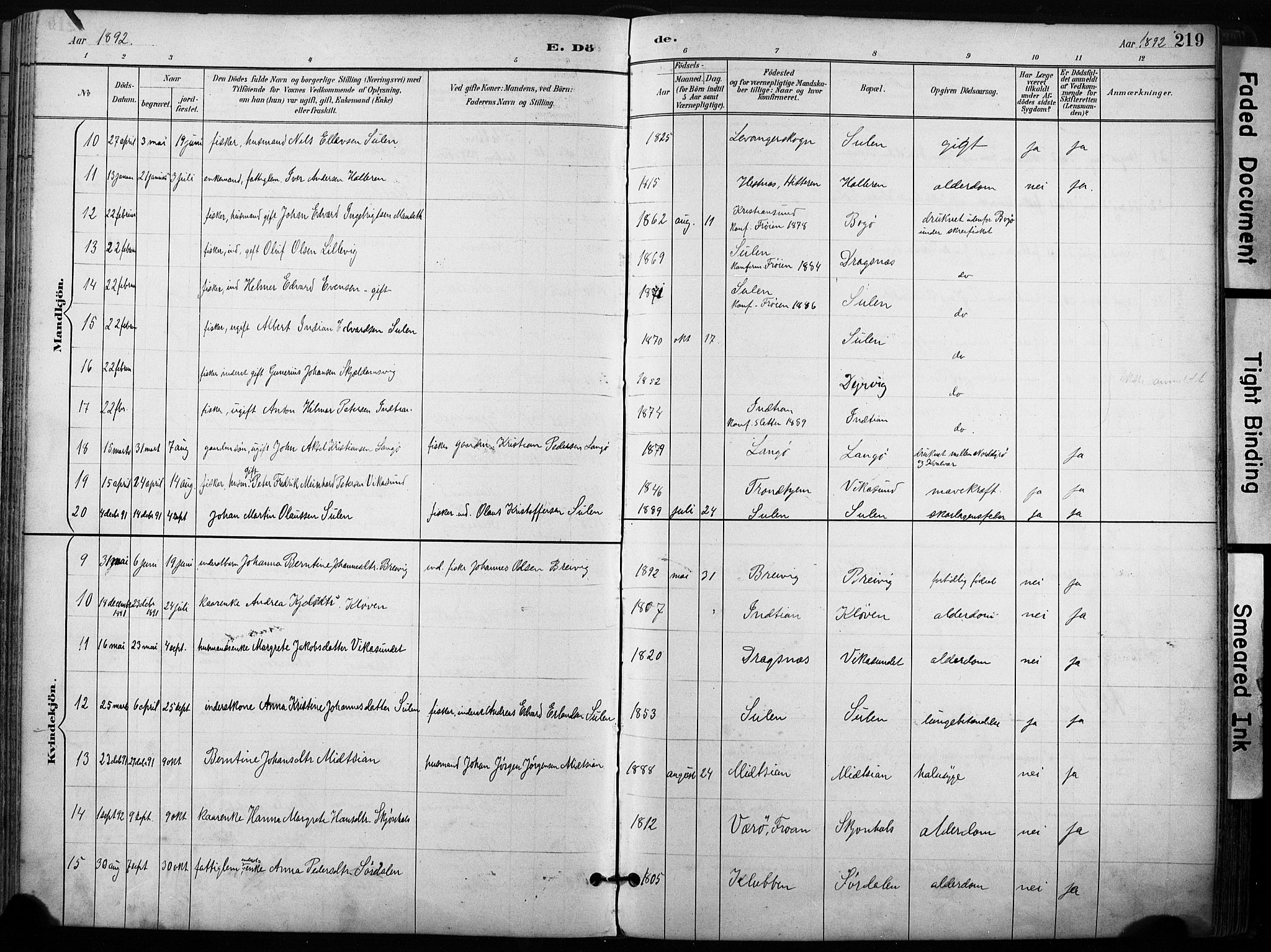 Ministerialprotokoller, klokkerbøker og fødselsregistre - Sør-Trøndelag, AV/SAT-A-1456/640/L0579: Parish register (official) no. 640A04, 1889-1902, p. 219