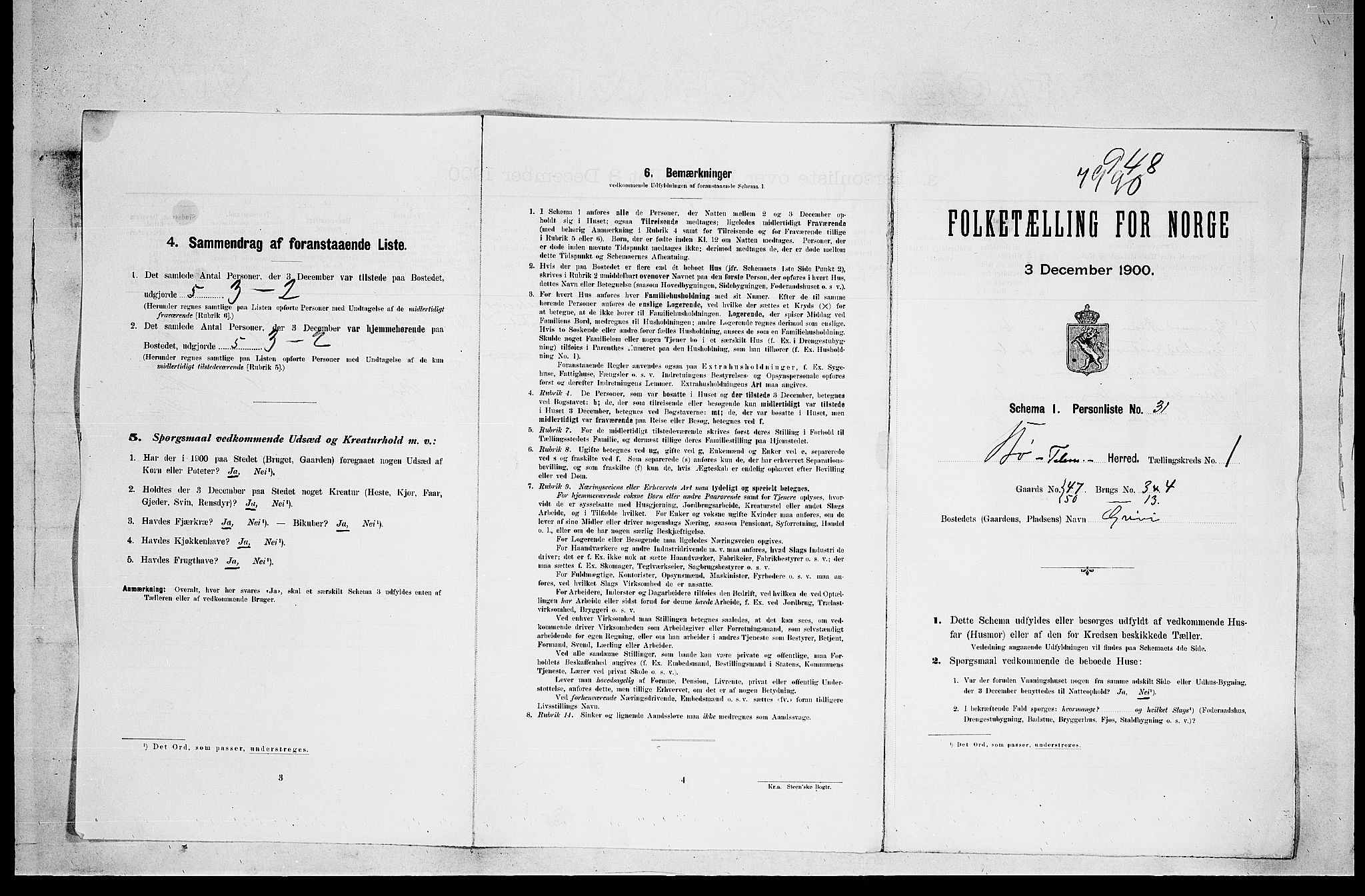 SAKO, 1900 census for Bø, 1900, p. 31