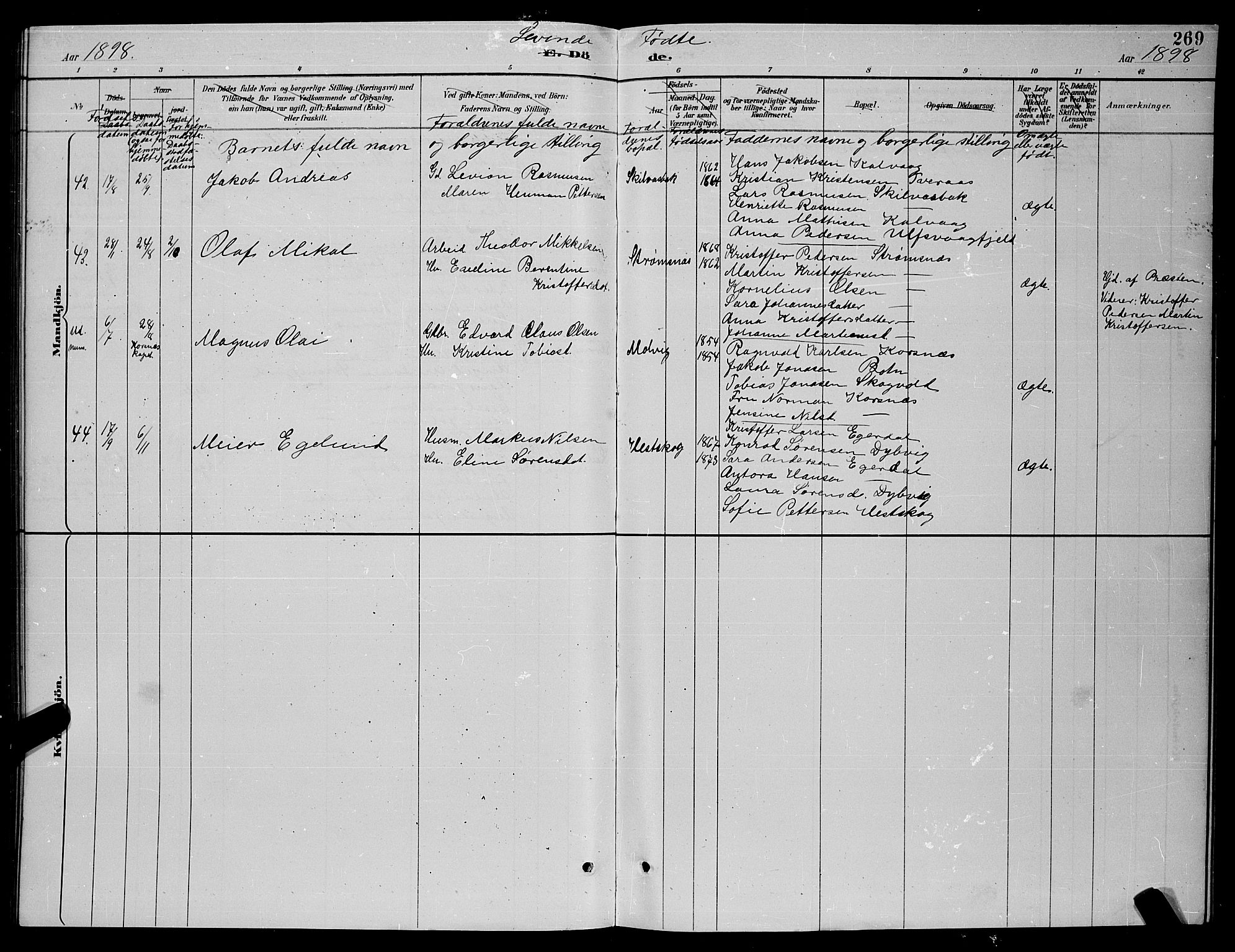 Ministerialprotokoller, klokkerbøker og fødselsregistre - Nordland, AV/SAT-A-1459/859/L0859: Parish register (copy) no. 859C05, 1887-1898, p. 269