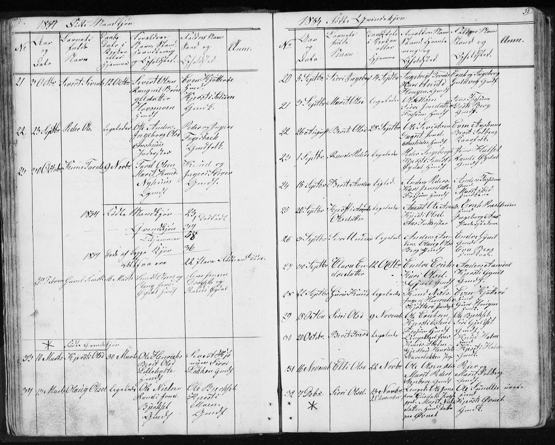 Ministerialprotokoller, klokkerbøker og fødselsregistre - Sør-Trøndelag, SAT/A-1456/689/L1043: Parish register (copy) no. 689C02, 1816-1892, p. 55