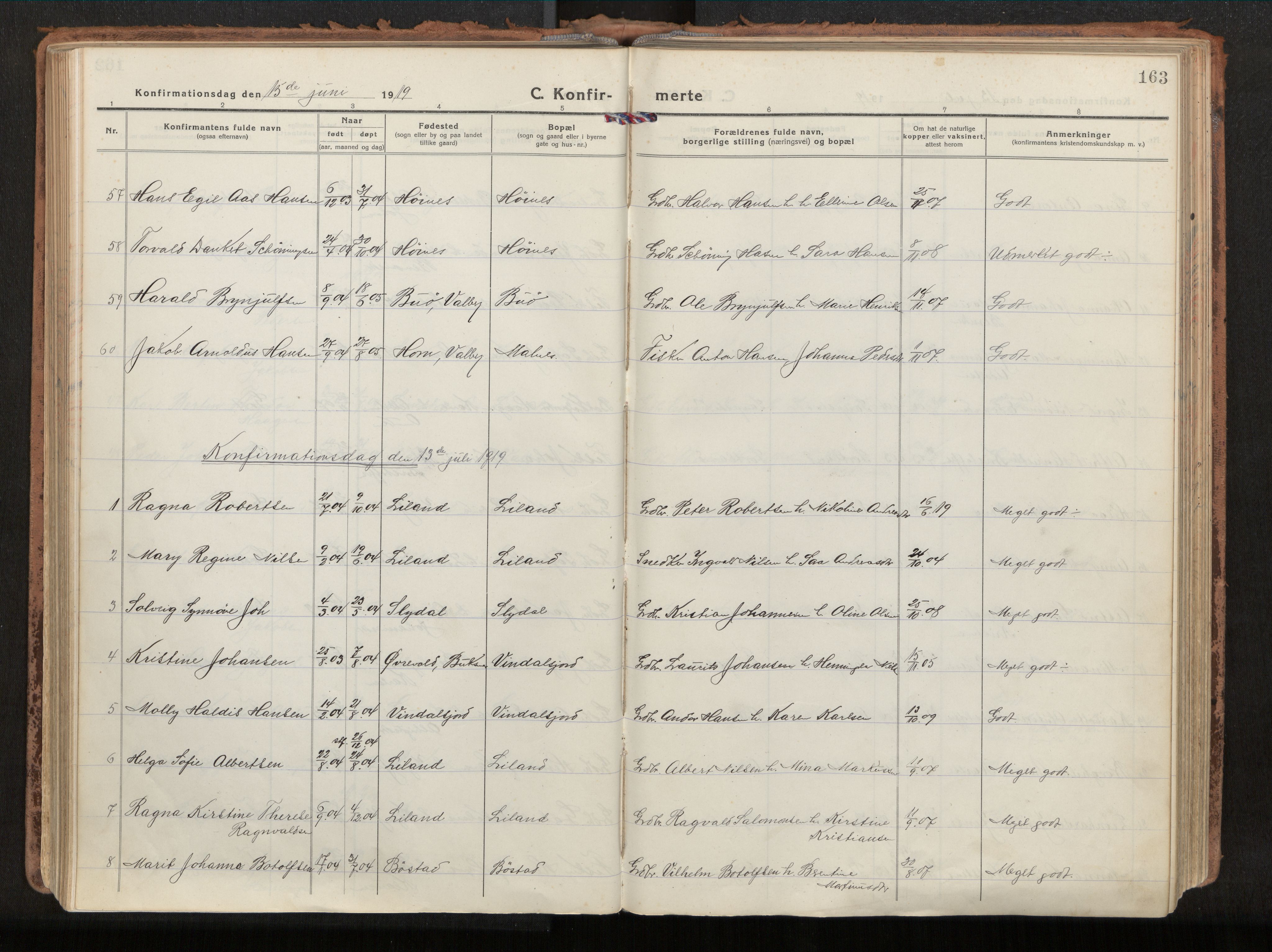 Ministerialprotokoller, klokkerbøker og fødselsregistre - Nordland, AV/SAT-A-1459/880/L1136: Parish register (official) no. 880A10, 1919-1927, p. 163