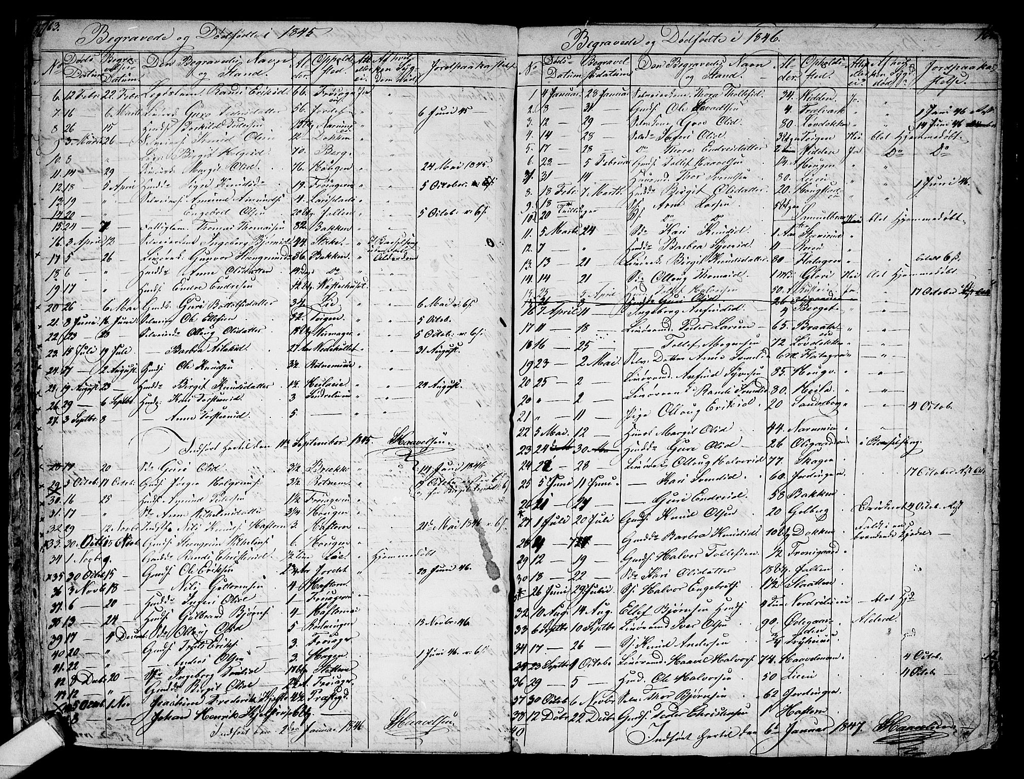 Gol kirkebøker, AV/SAKO-A-226/G/Ga/L0001: Parish register (copy) no. I 1, 1841-1860, p. 163-164