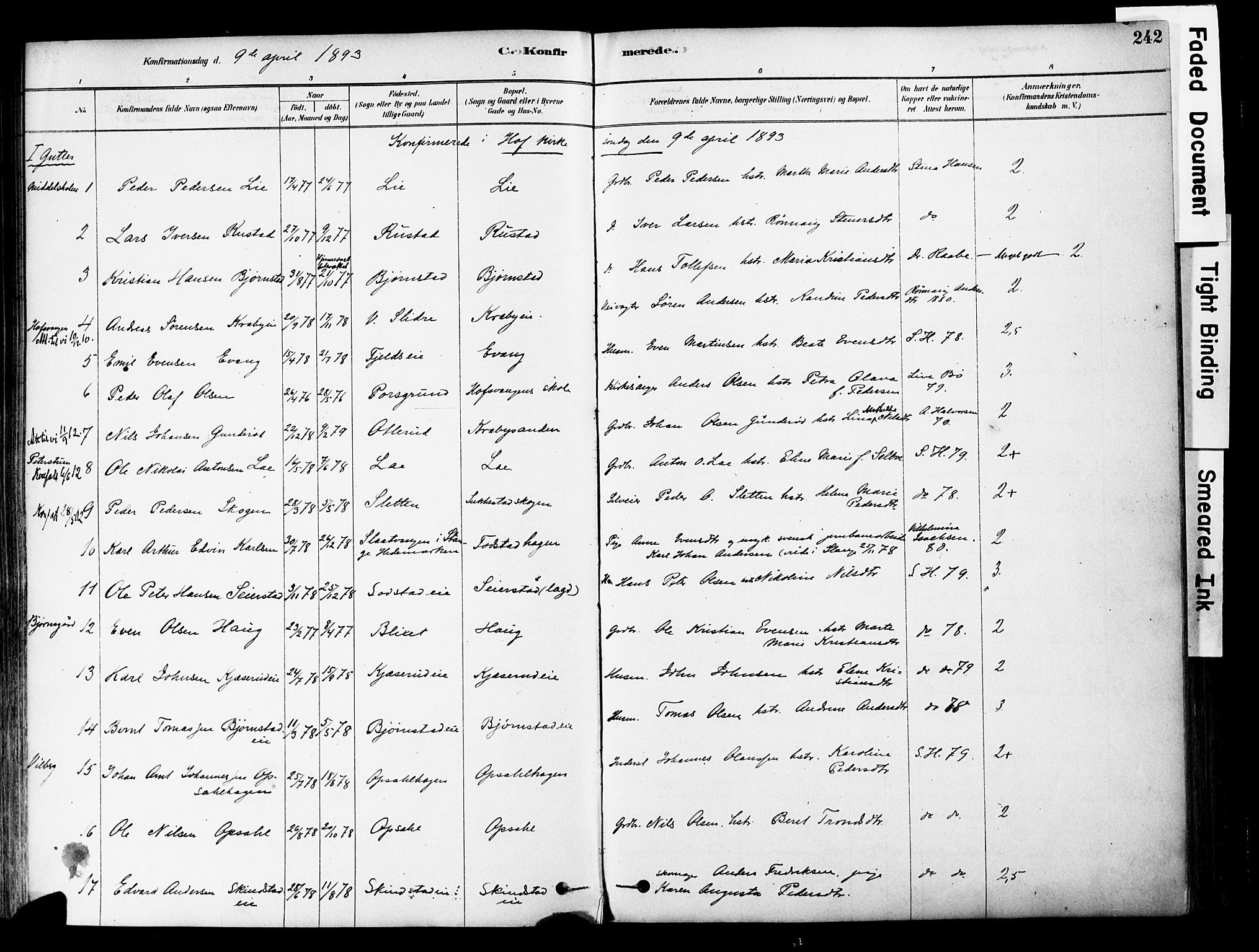 Østre Toten prestekontor, SAH/PREST-104/H/Ha/Haa/L0006: Parish register (official) no. 6 /1, 1878-1896, p. 242