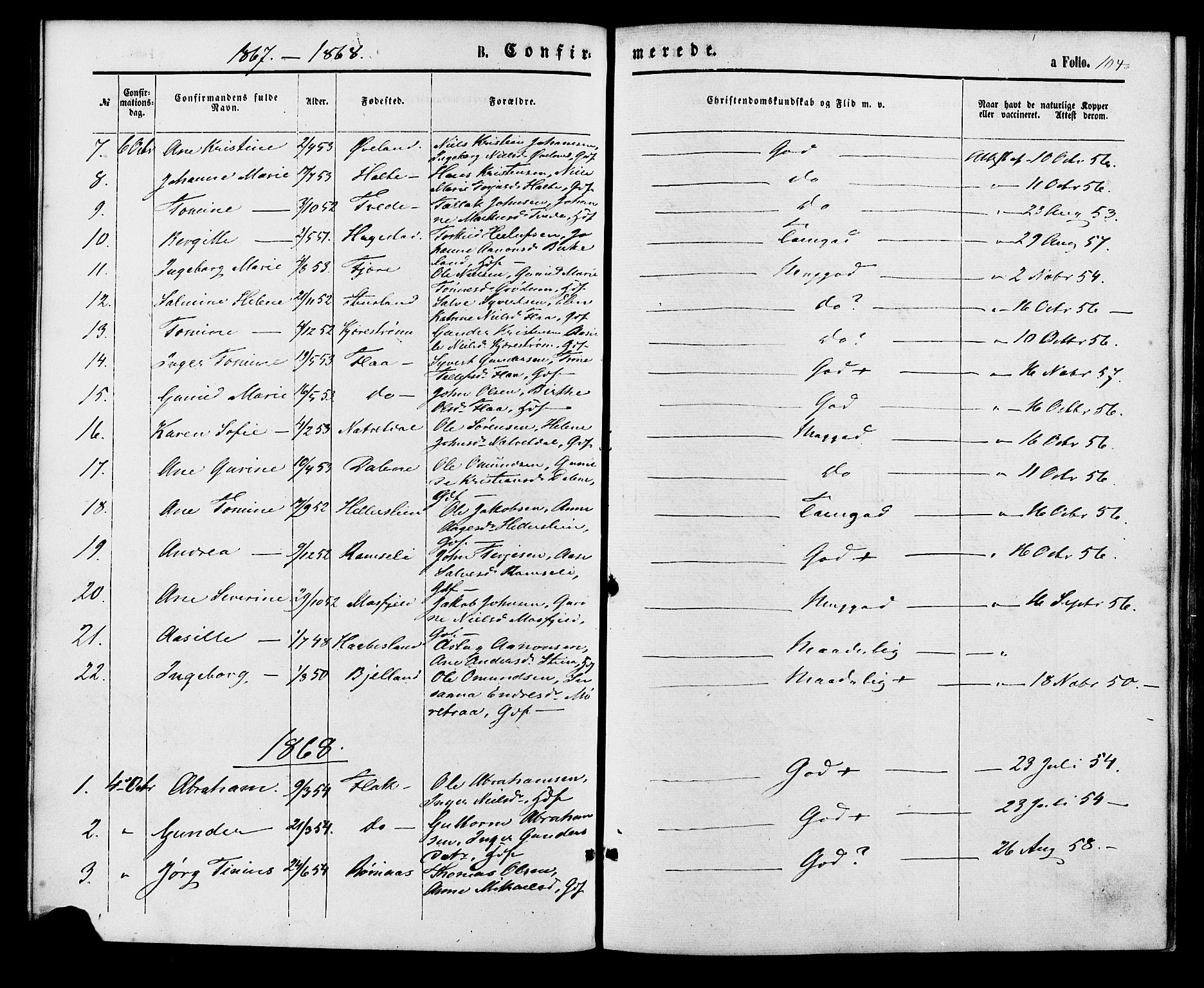 Birkenes sokneprestkontor, AV/SAK-1111-0004/F/Fa/L0004: Parish register (official) no. A 4, 1867-1886, p. 104