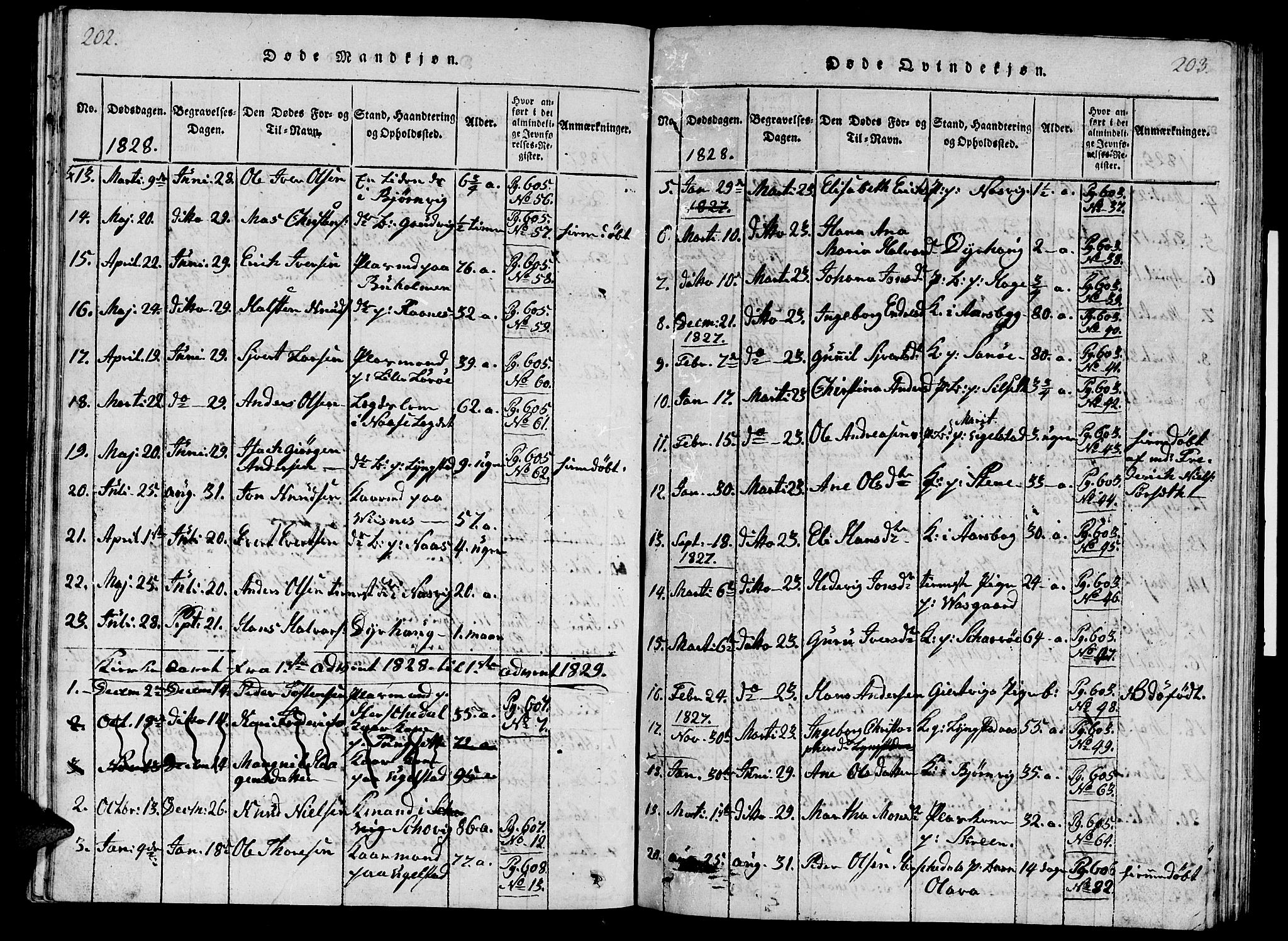 Ministerialprotokoller, klokkerbøker og fødselsregistre - Møre og Romsdal, SAT/A-1454/570/L0831: Parish register (official) no. 570A05, 1819-1829, p. 202-203