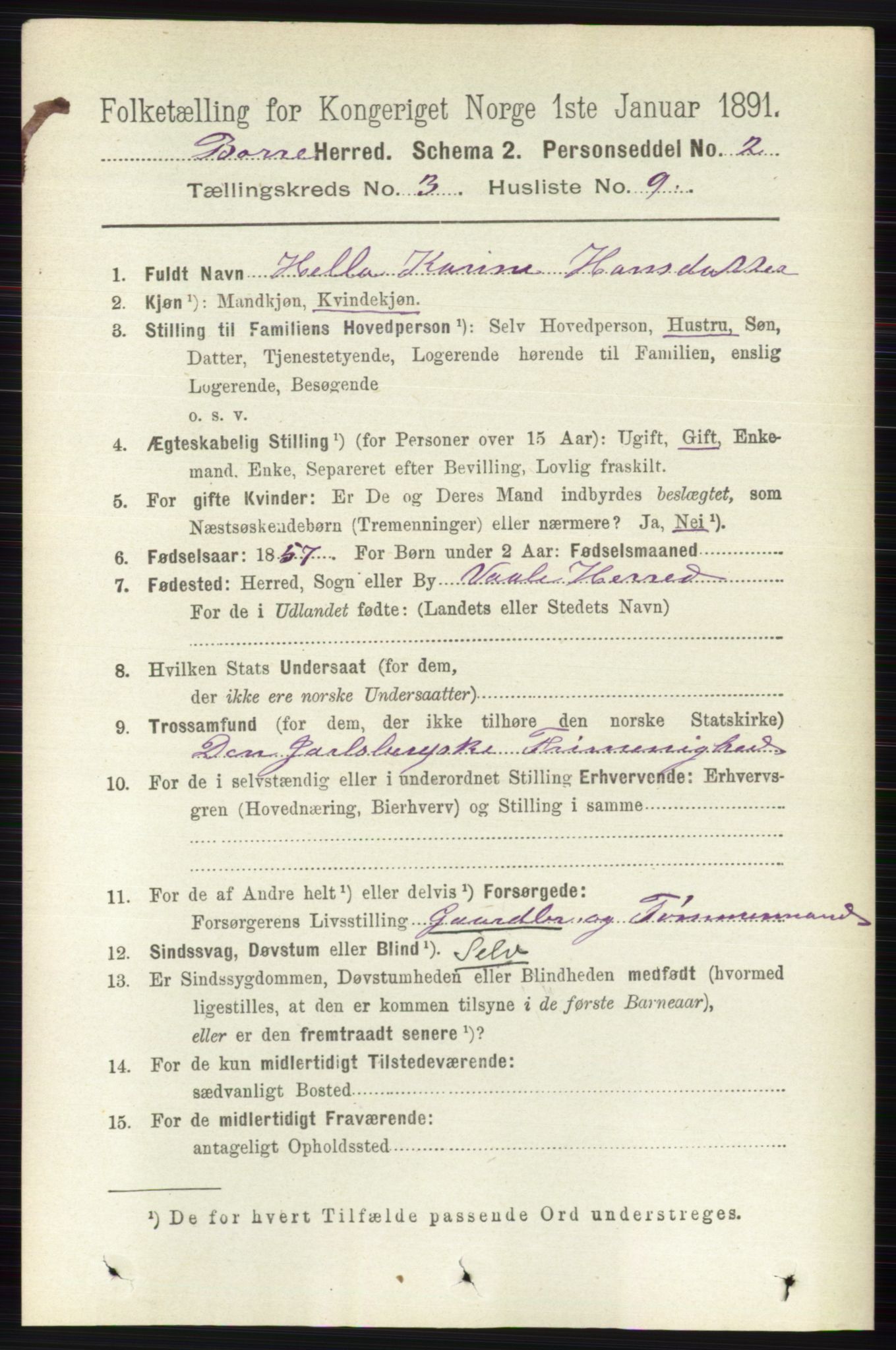 RA, 1891 census for 0717 Borre, 1891, p. 1270