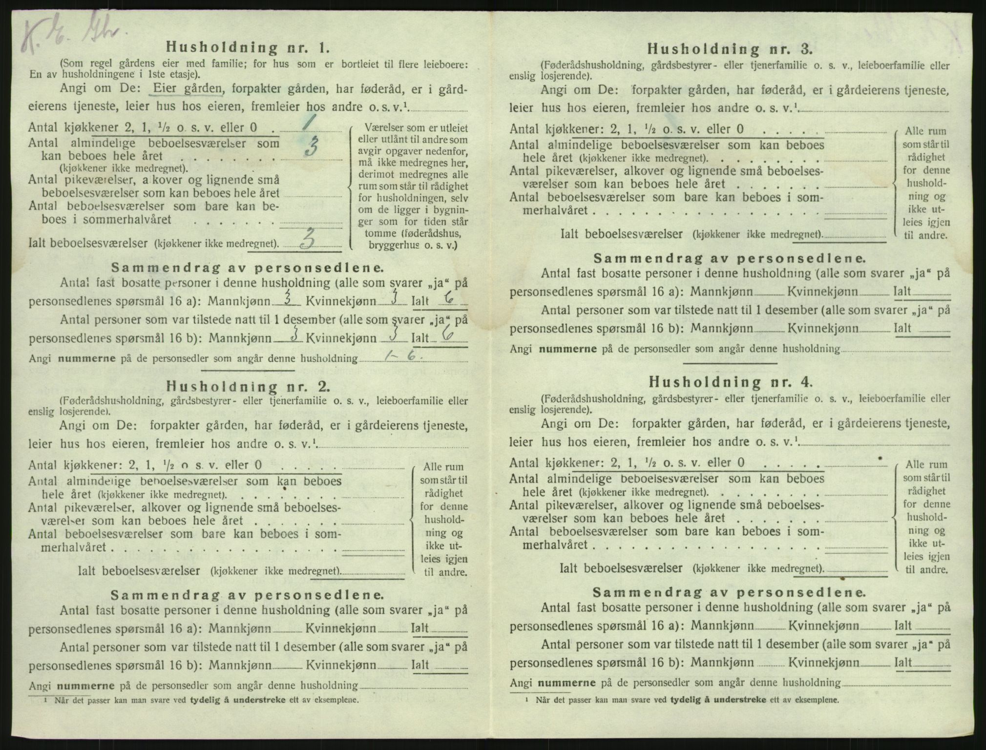 SAKO, 1920 census for Brunlanes, 1920, p. 852