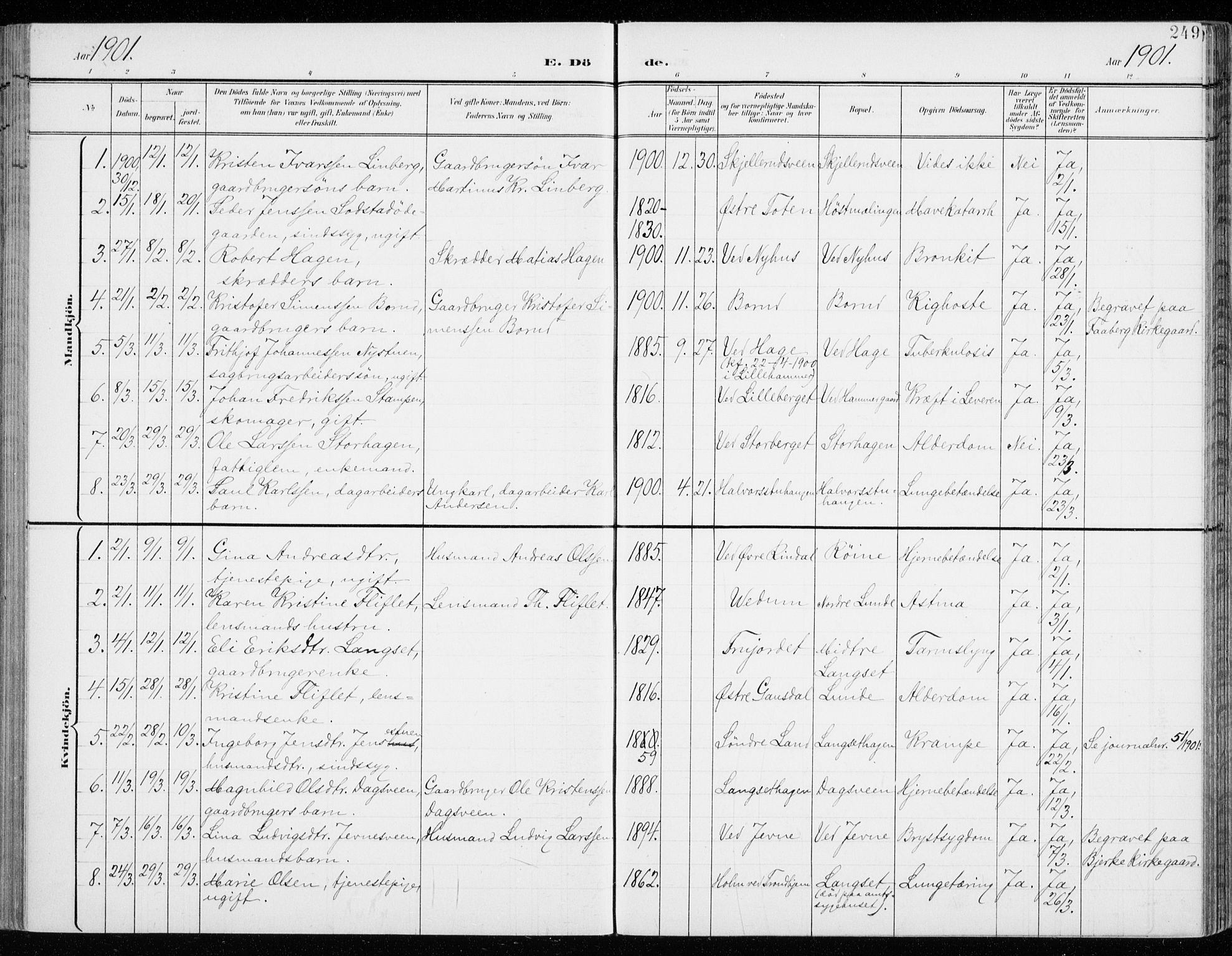 Fåberg prestekontor, AV/SAH-PREST-086/H/Ha/Haa/L0011: Parish register (official) no. 11, 1899-1913, p. 249