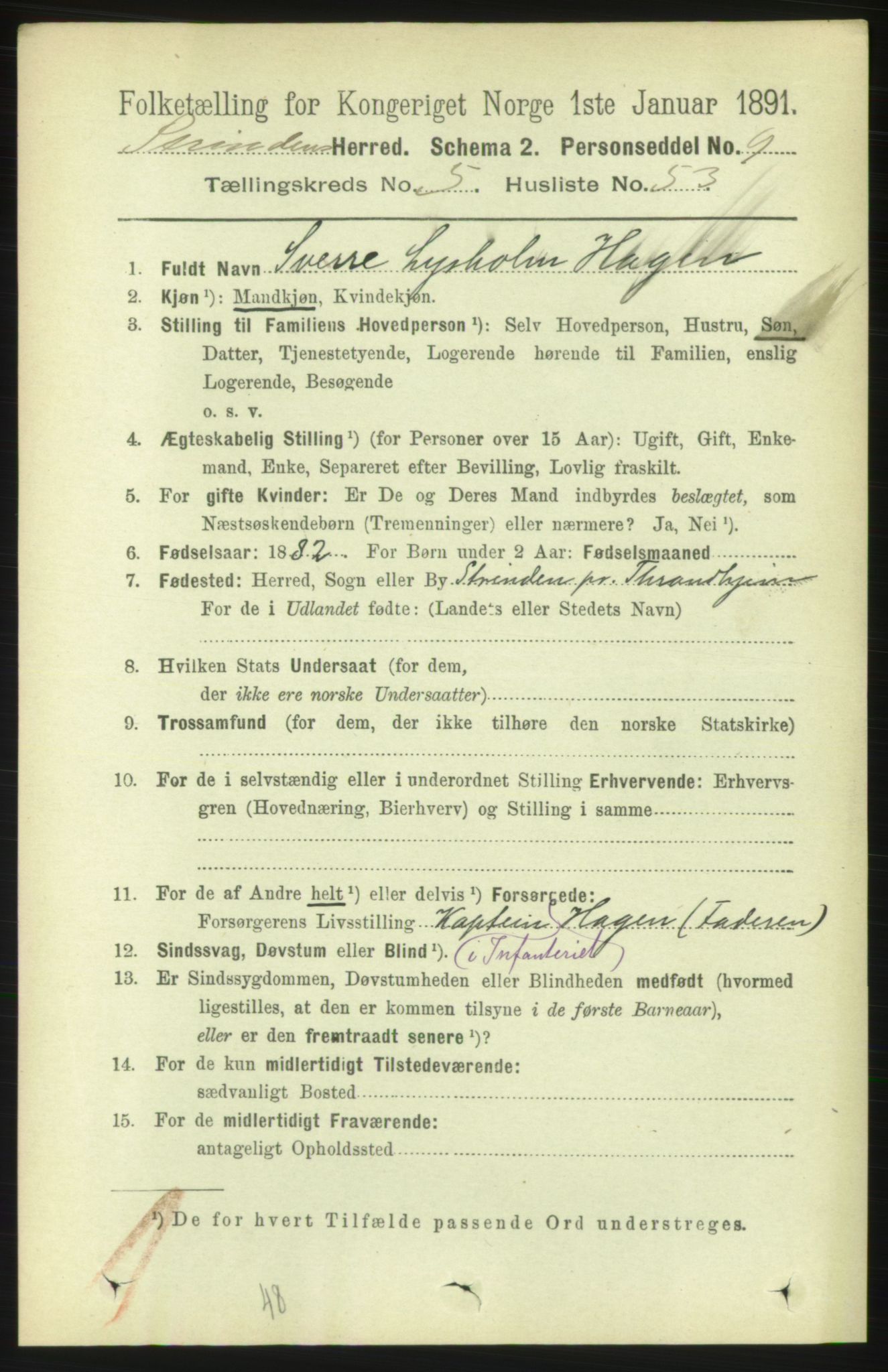 RA, 1891 census for 1660 Strinda, 1891, p. 5008