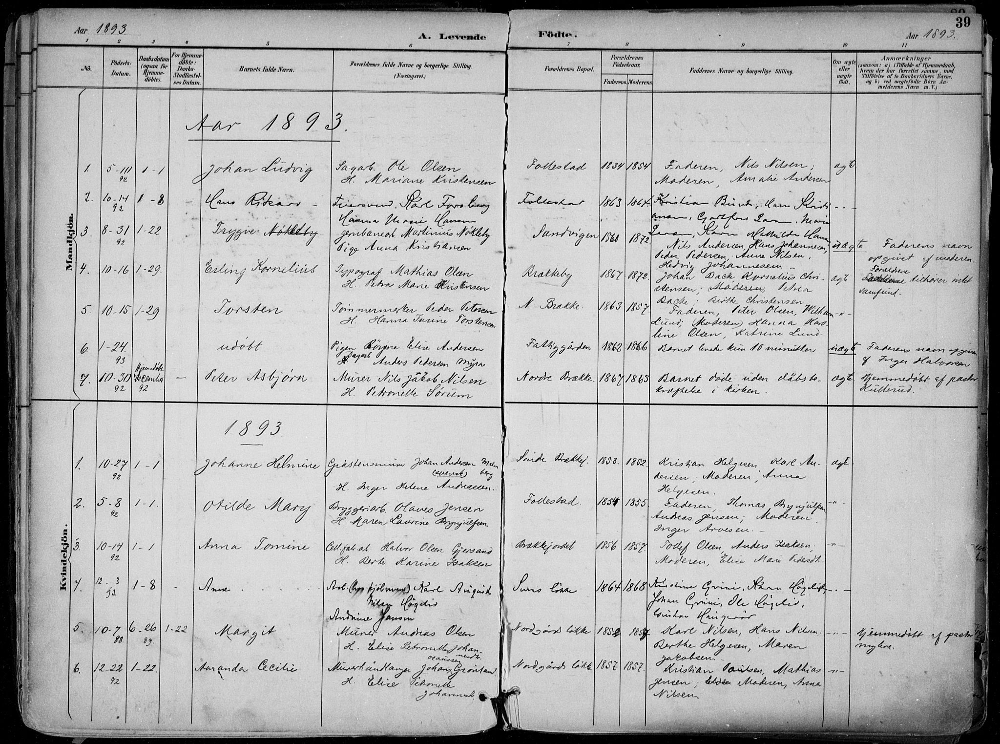 Skien kirkebøker, AV/SAKO-A-302/F/Fa/L0010: Parish register (official) no. 10, 1891-1899, p. 39