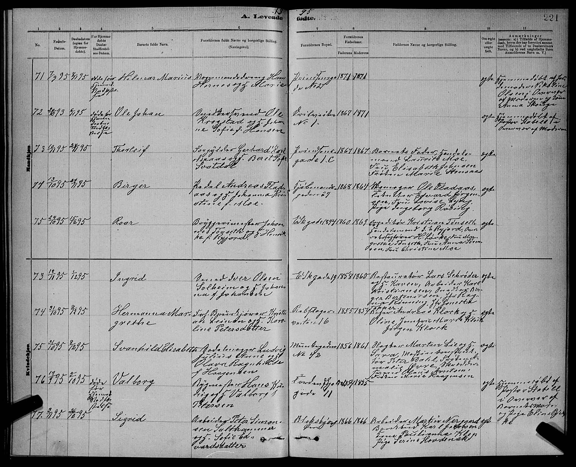 Ministerialprotokoller, klokkerbøker og fødselsregistre - Sør-Trøndelag, AV/SAT-A-1456/601/L0092: Parish register (copy) no. 601C10, 1884-1897, p. 221