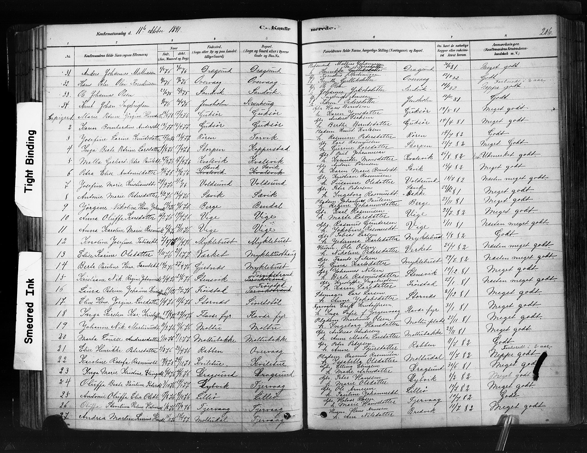 Ministerialprotokoller, klokkerbøker og fødselsregistre - Møre og Romsdal, AV/SAT-A-1454/507/L0073: Parish register (official) no. 507A08, 1878-1904, p. 206