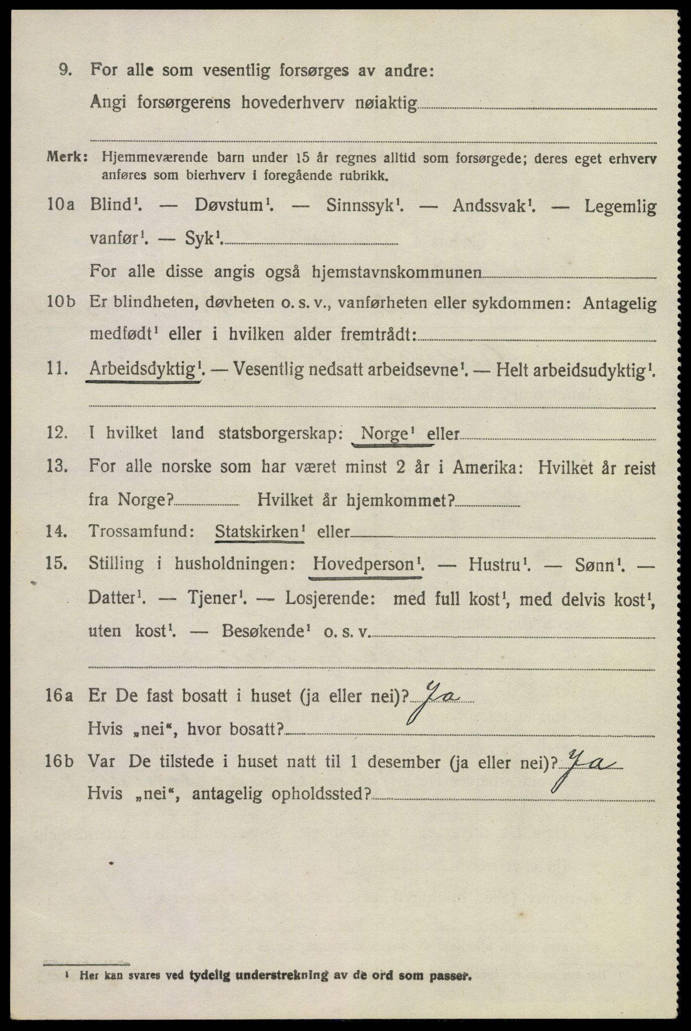 SAKO, 1920 census for Brunlanes, 1920, p. 10800