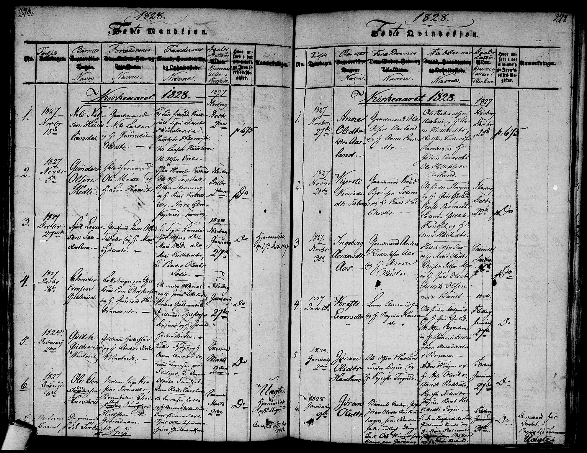 Flesberg kirkebøker, SAKO/A-18/F/Fa/L0005: Parish register (official) no. I 5, 1816-1834, p. 273-274
