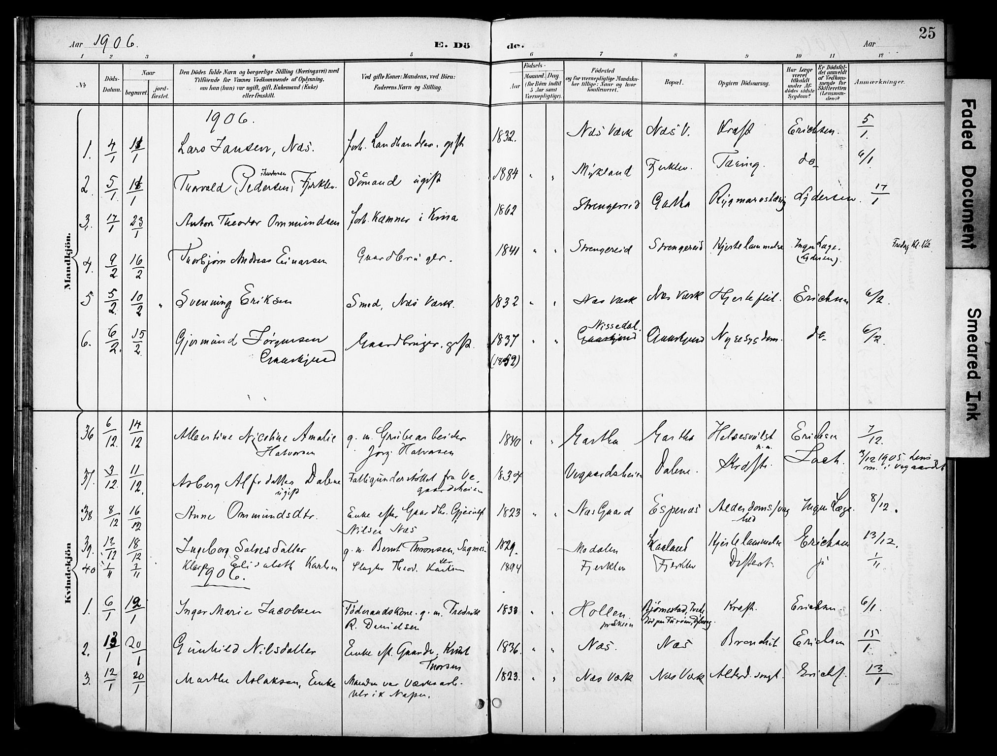 Holt sokneprestkontor, AV/SAK-1111-0021/F/Fa/L0013: Parish register (official) no. A 13, 1900-1912, p. 25