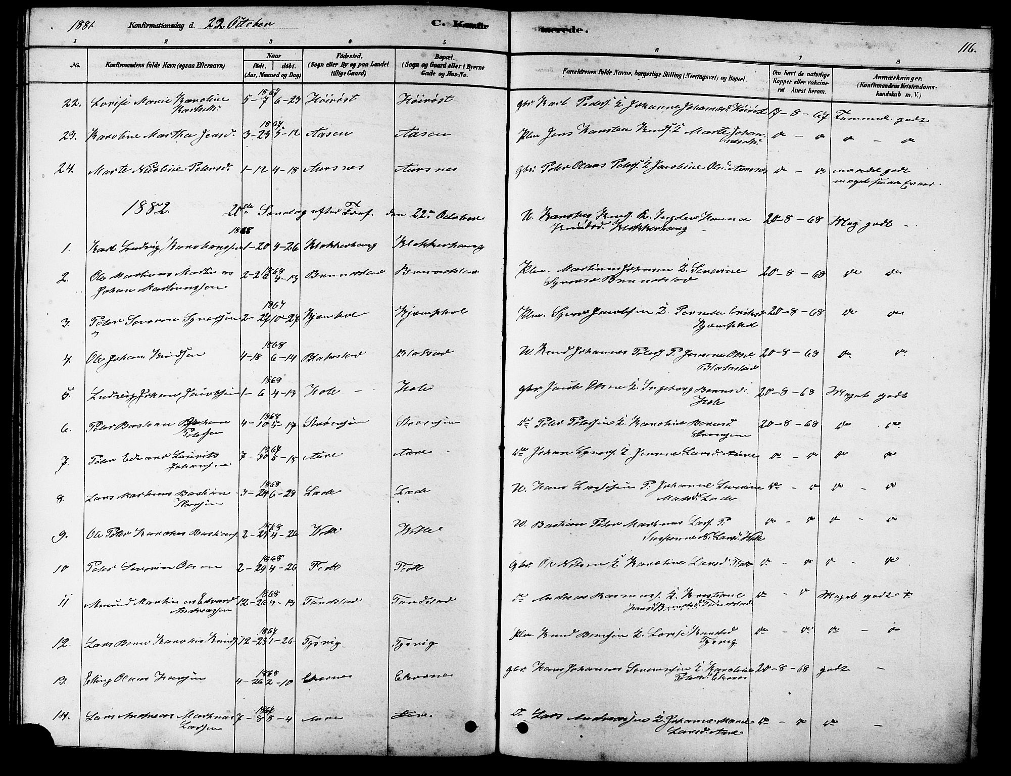 Ministerialprotokoller, klokkerbøker og fødselsregistre - Møre og Romsdal, SAT/A-1454/523/L0339: Parish register (copy) no. 523C02, 1878-1891, p. 116