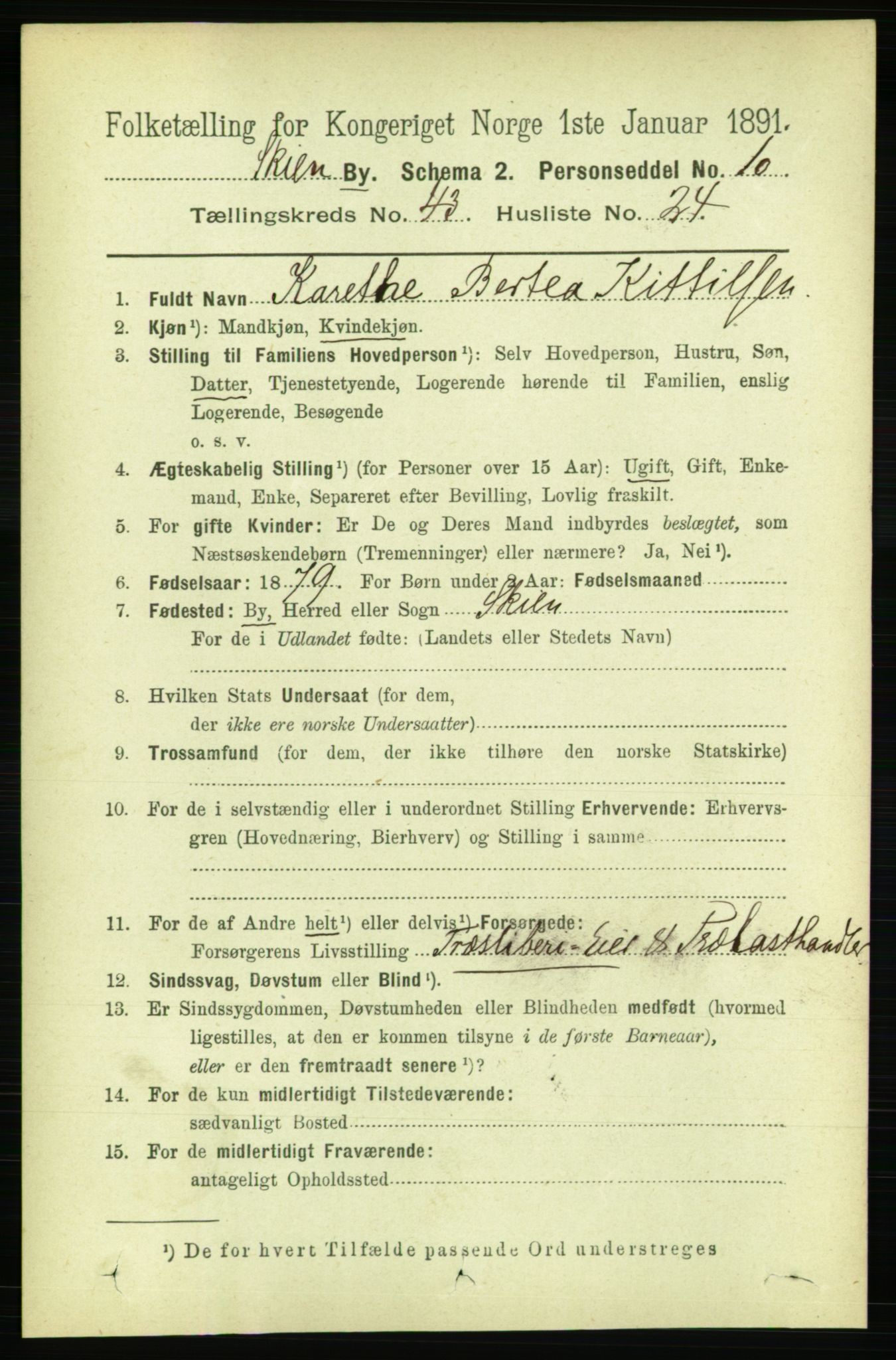 RA, 1891 census for 0806 Skien, 1891, p. 8756