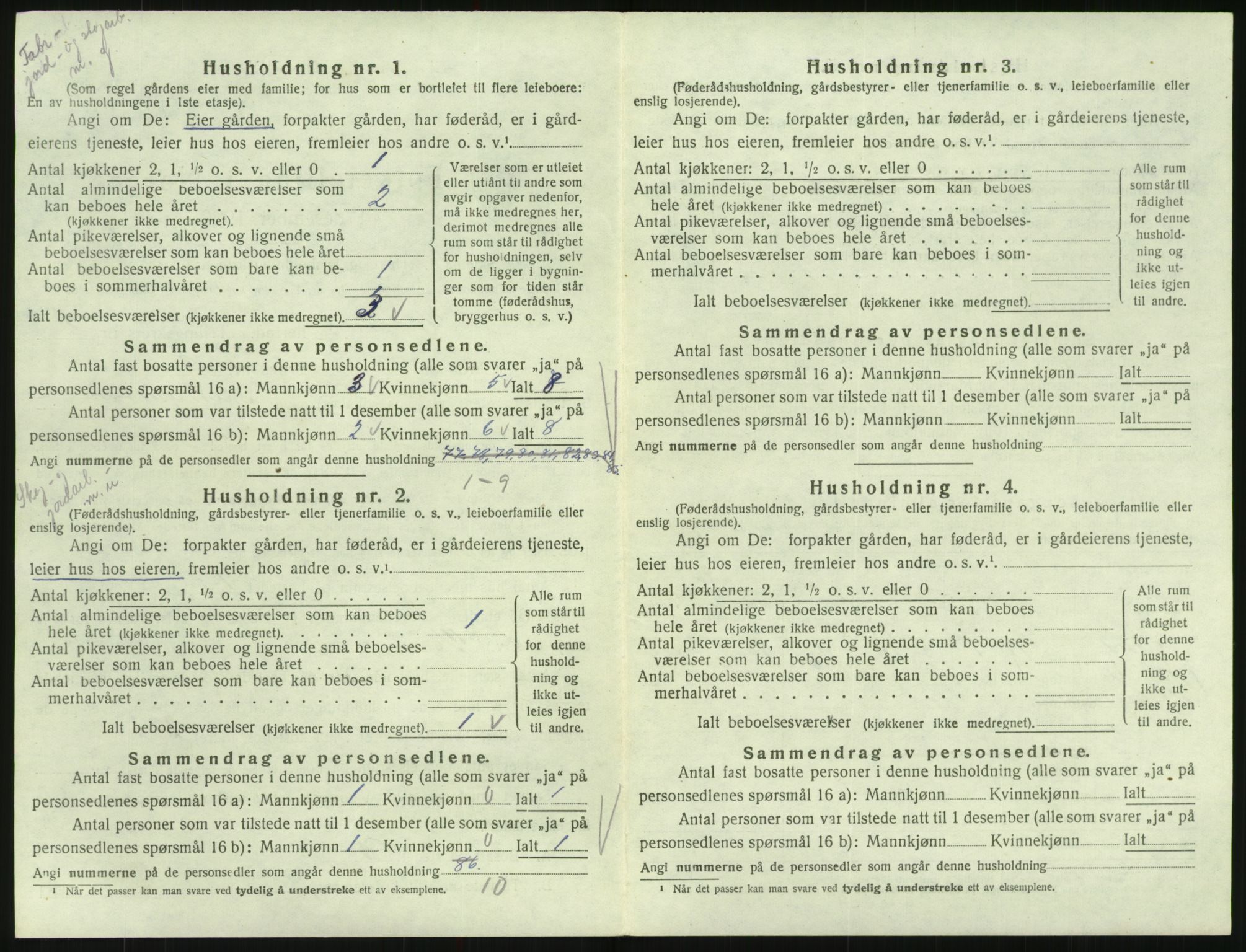 SAK, 1920 census for Hornnes, 1920, p. 236