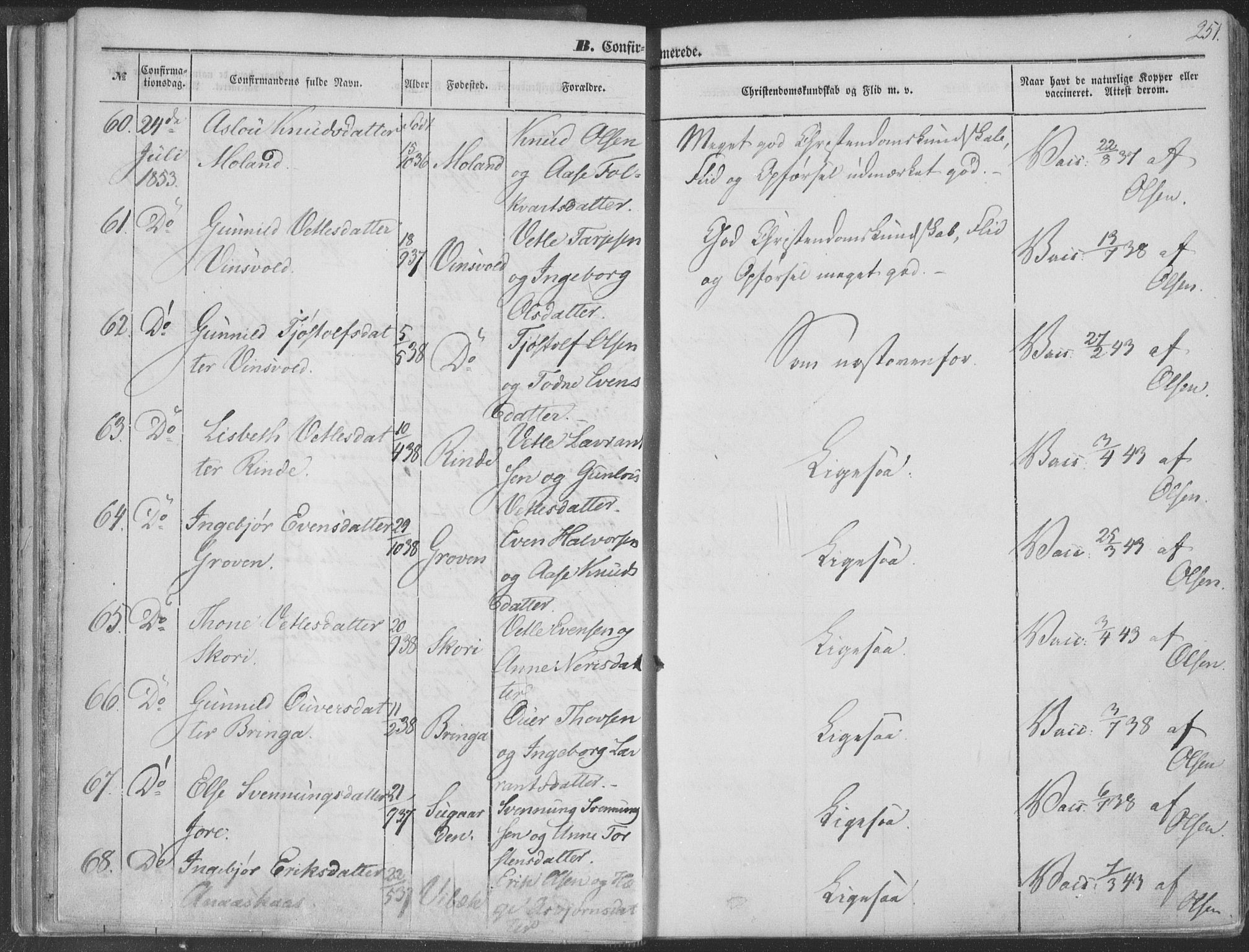 Seljord kirkebøker, SAKO/A-20/F/Fa/L012b: Parish register (official) no. I 12B, 1850-1865, p. 251