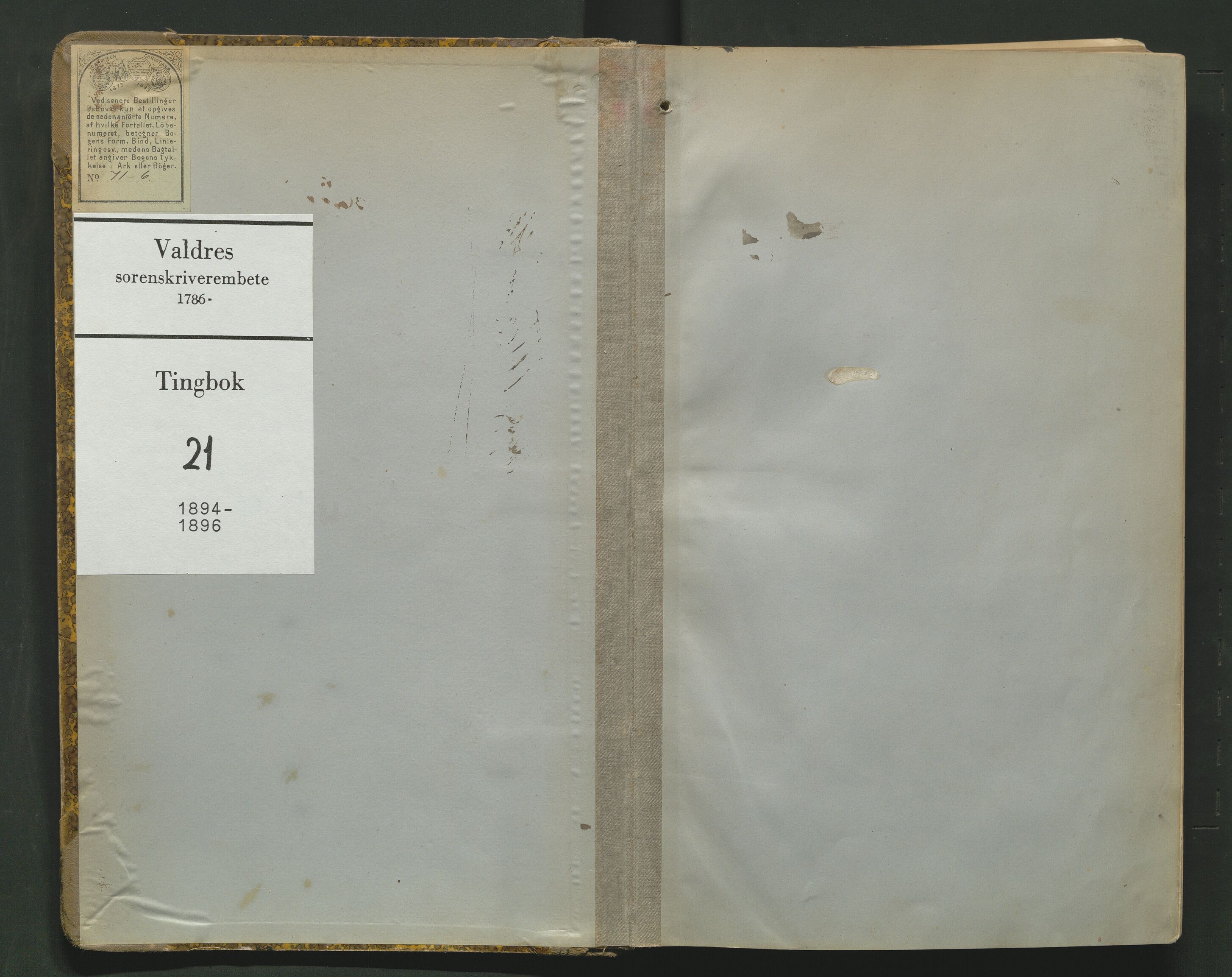 Valdres sorenskriveri, SAH/TING-016/G/Gb/L0021: Tingbok, 1894-1896