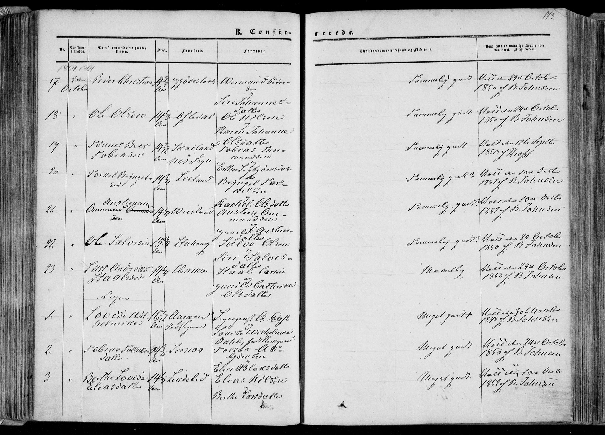 Bakke sokneprestkontor, AV/SAK-1111-0002/F/Fa/Faa/L0006: Parish register (official) no. A 6, 1855-1877, p. 173