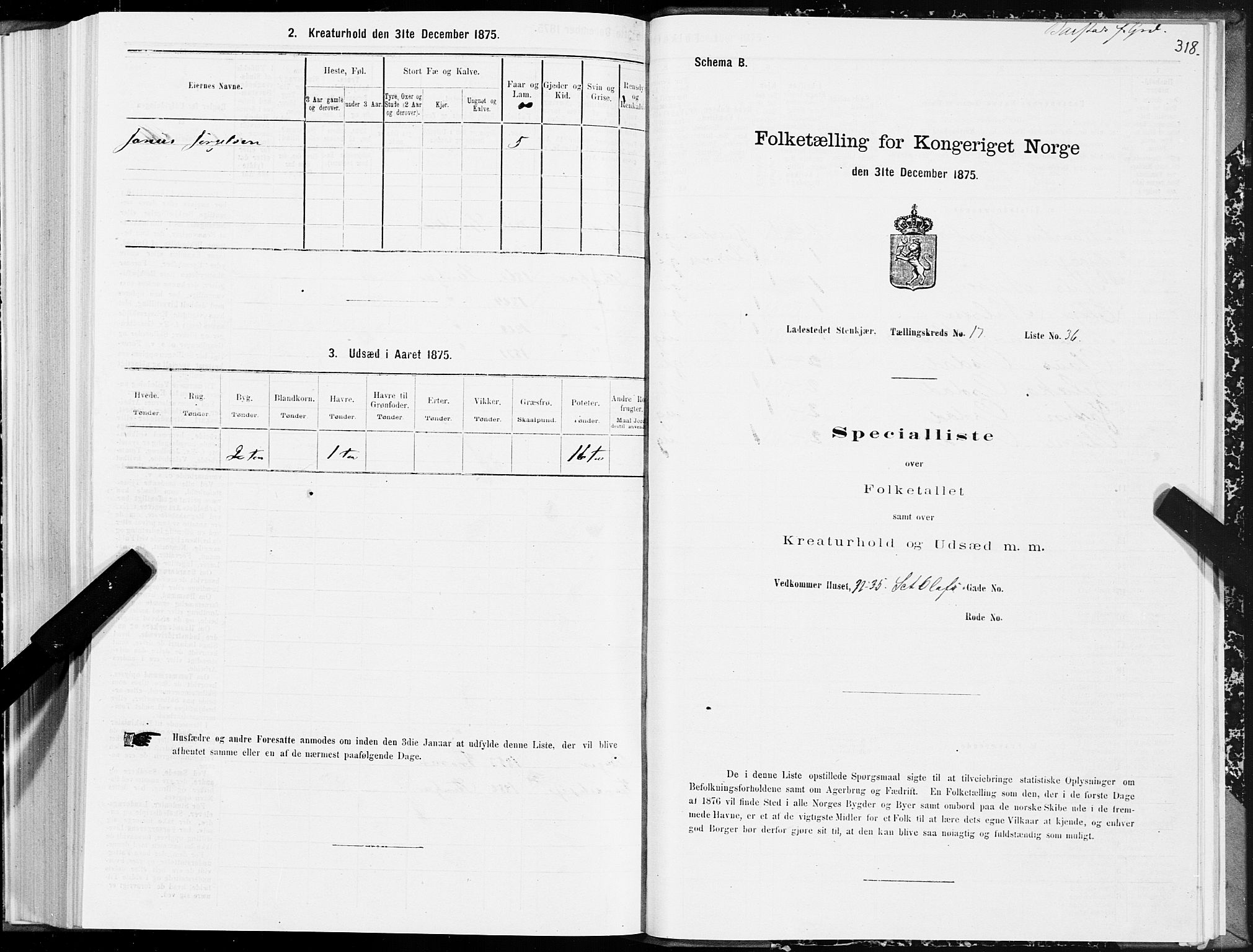 SAT, 1875 census for 1702B Steinkjer/Steinkjer, 1875, p. 318