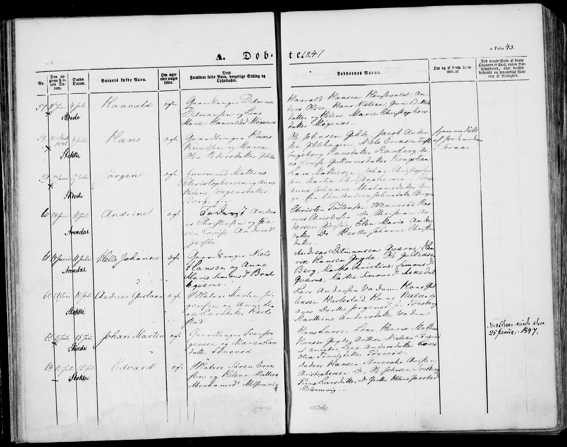 Stokke kirkebøker, AV/SAKO-A-320/F/Fa/L0007: Parish register (official) no. I 7, 1844-1857, p. 43