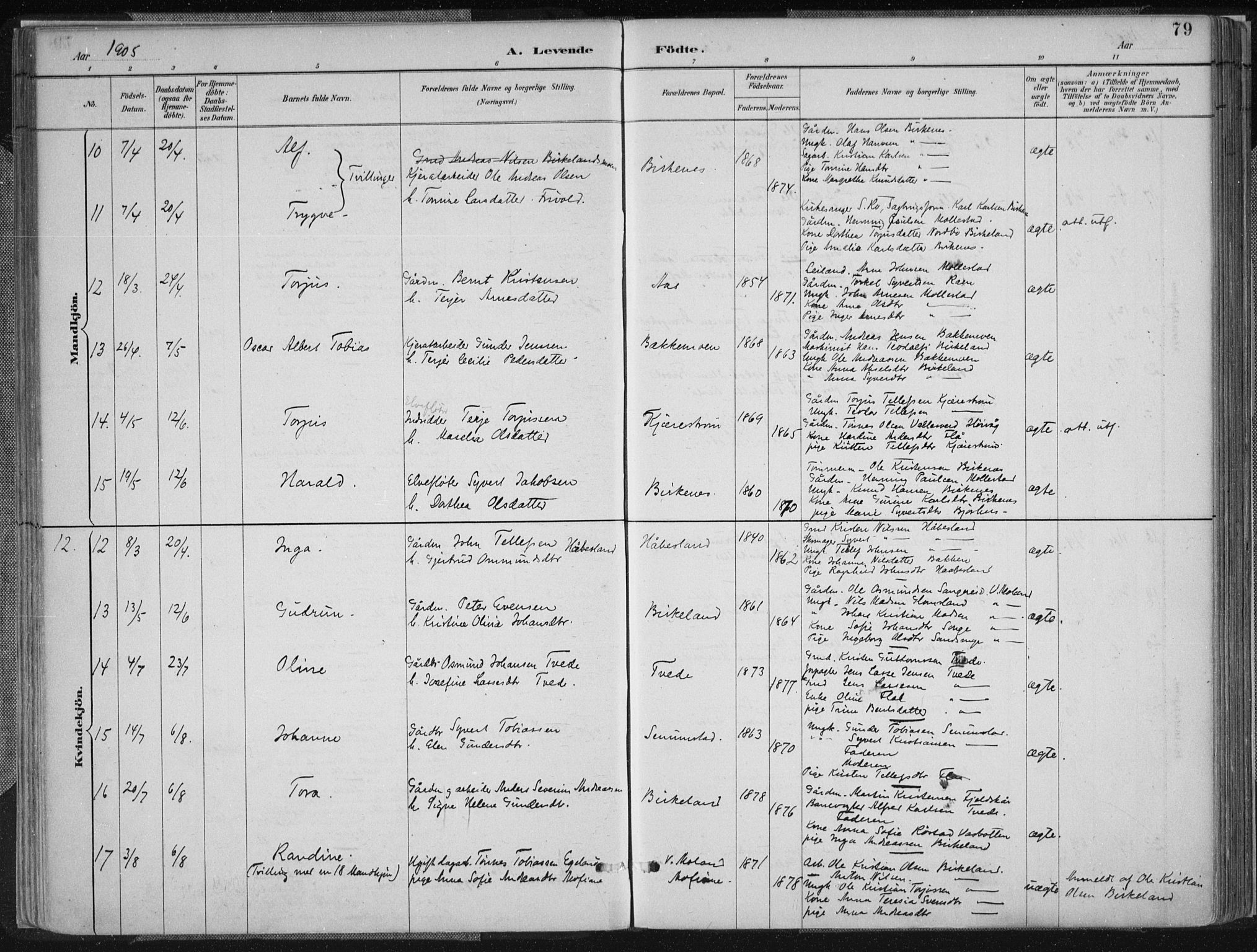 Birkenes sokneprestkontor, AV/SAK-1111-0004/F/Fa/L0005: Parish register (official) no. A 5, 1887-1907, p. 79