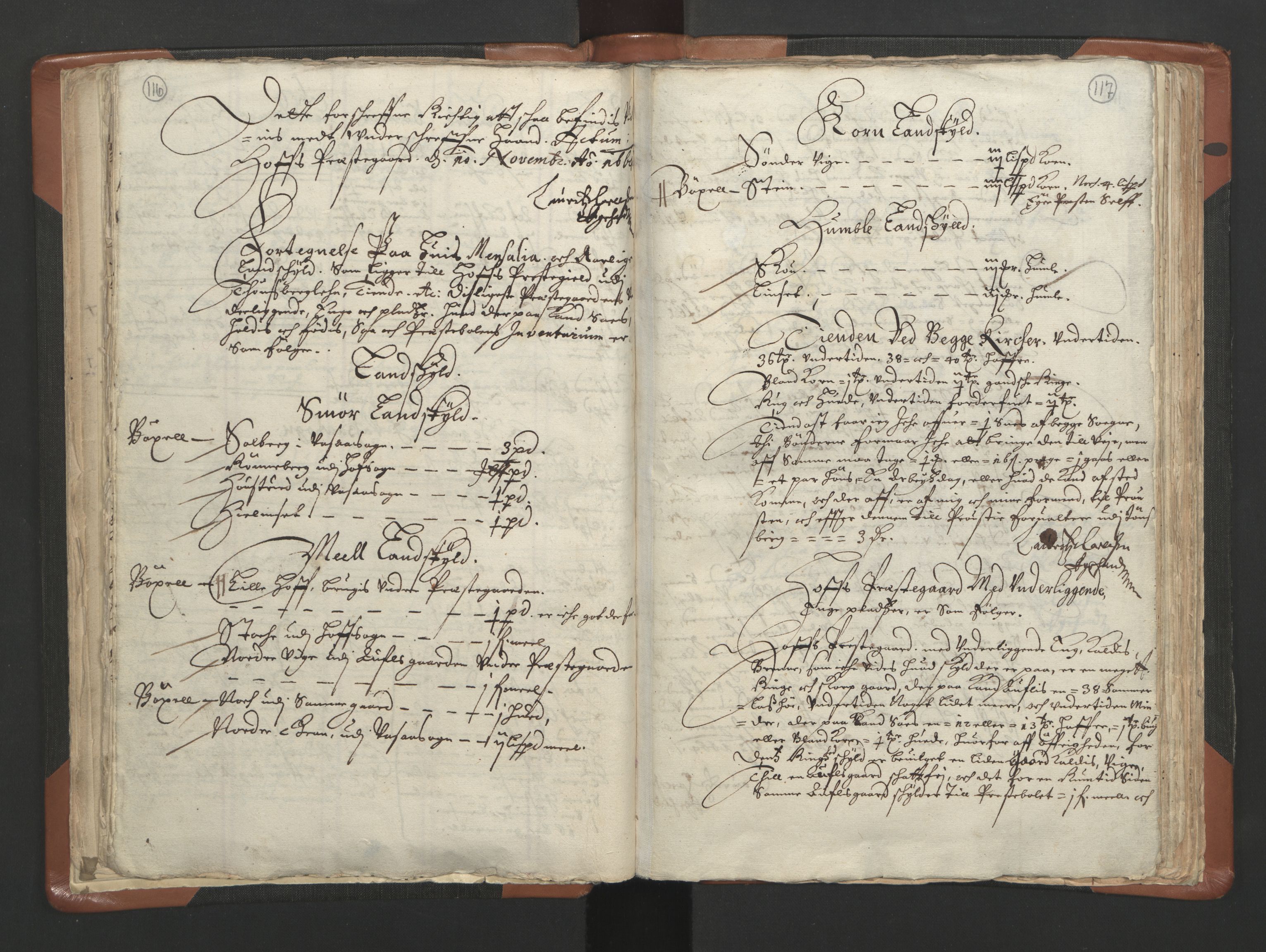 RA, Vicar's Census 1664-1666, no. 10: Tønsberg deanery, 1664-1666, p. 116-117