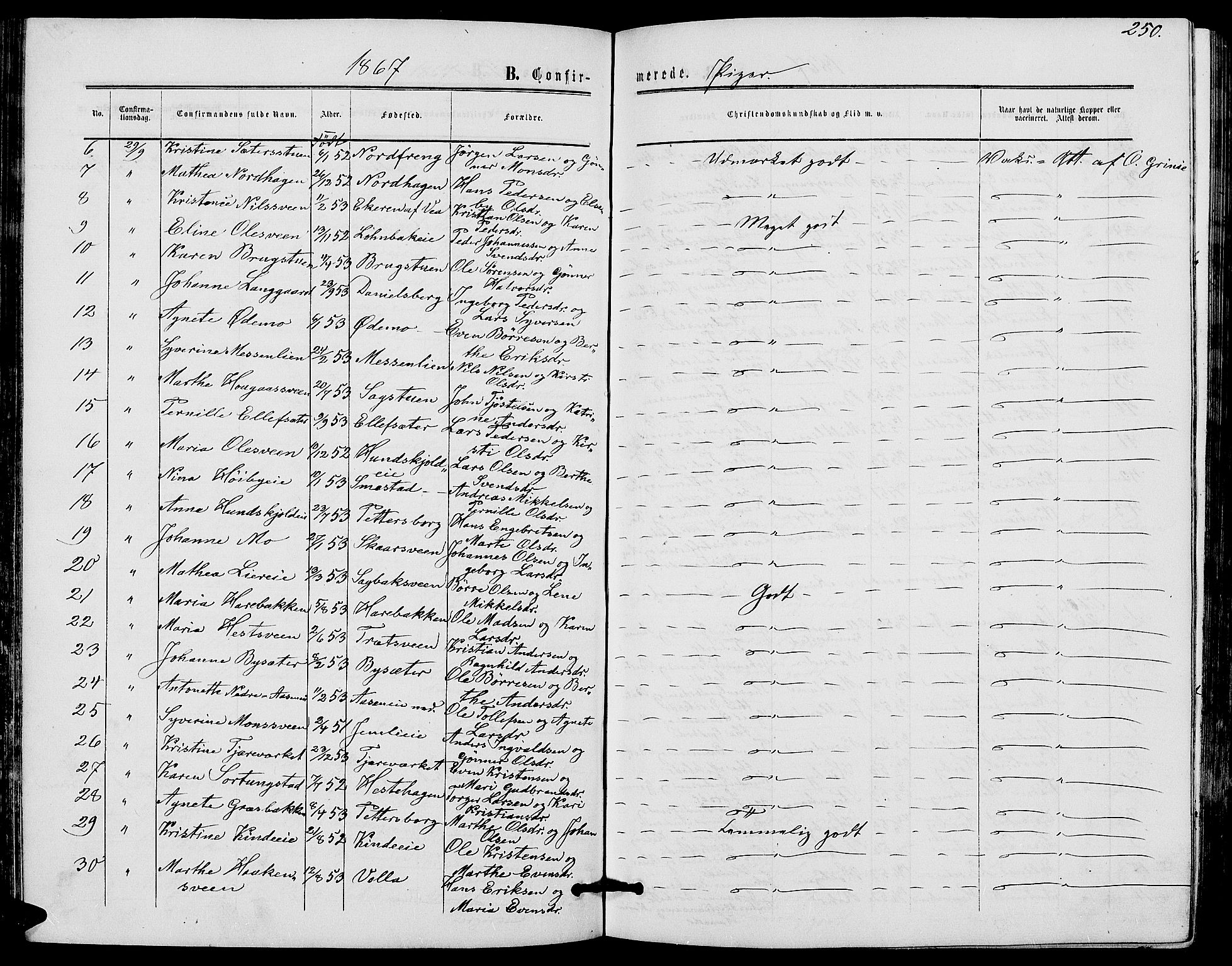 Ringsaker prestekontor, AV/SAH-PREST-014/L/La/L0007: Parish register (copy) no. 7, 1861-1869, p. 250