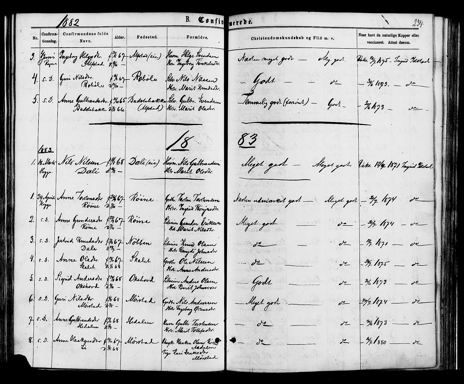 Øystre Slidre prestekontor, AV/SAH-PREST-138/H/Ha/Haa/L0002: Parish register (official) no. 2, 1874-1886, p. 234