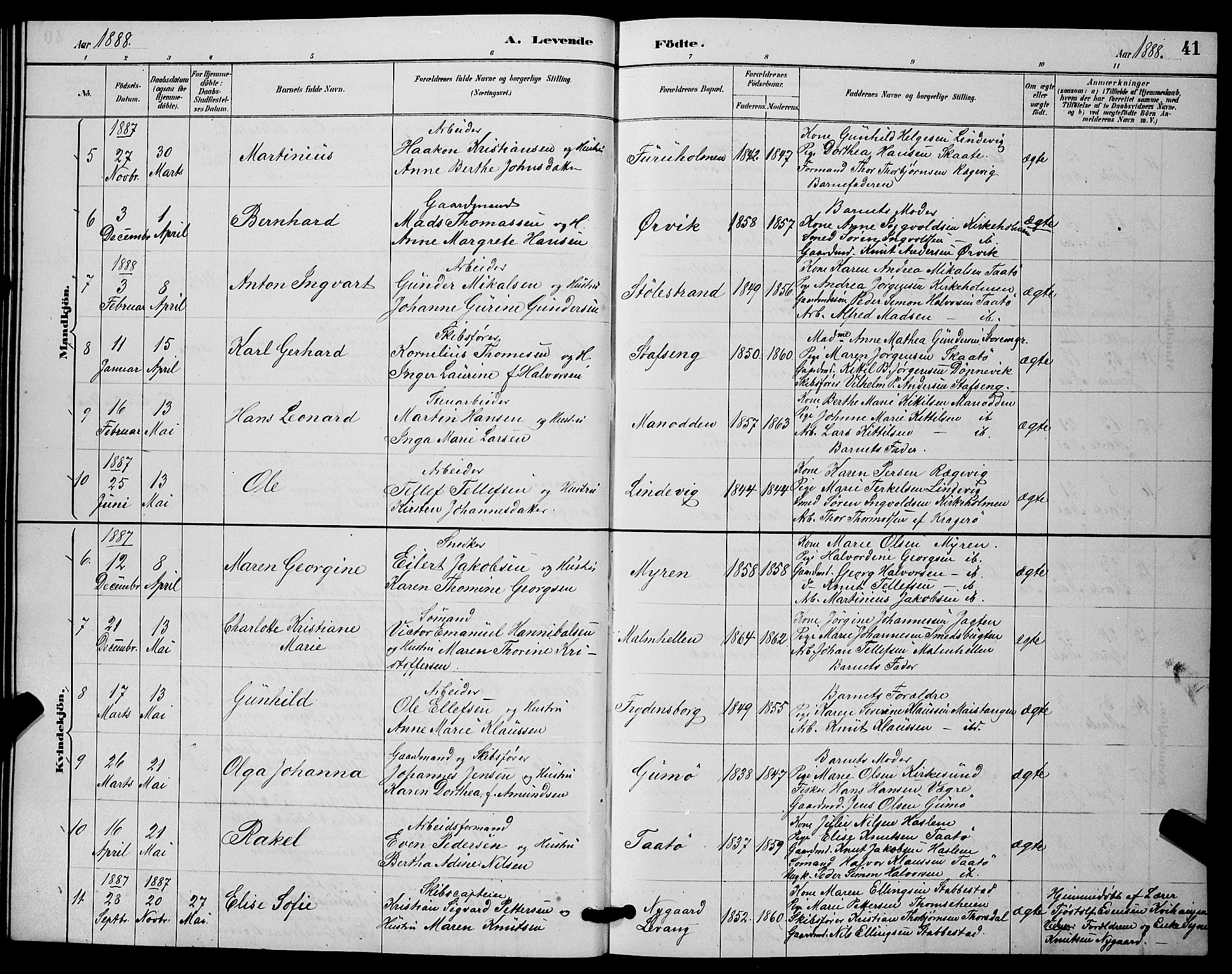 Skåtøy kirkebøker, SAKO/A-304/G/Ga/L0003: Parish register (copy) no. I 3, 1884-1898, p. 41