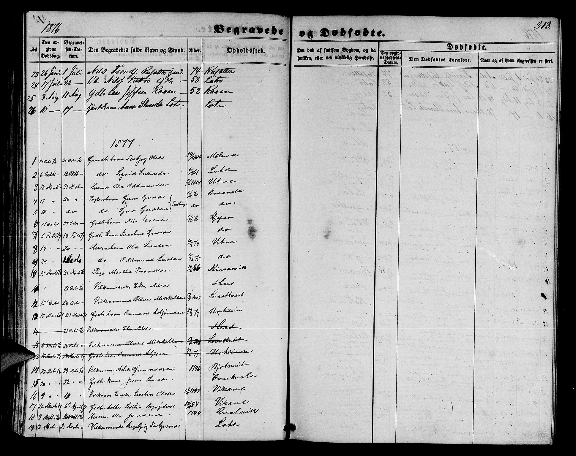 Ullensvang sokneprestembete, SAB/A-78701/H/Hab: Parish register (copy) no. E 6, 1857-1886, p. 313