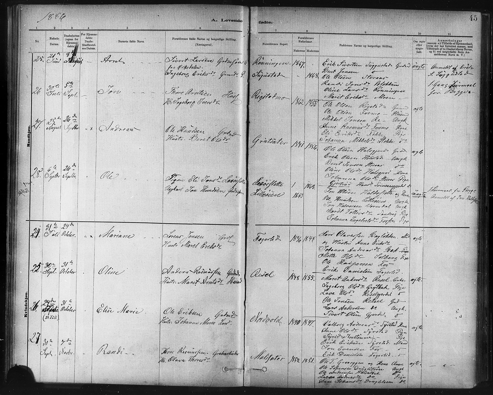 Ministerialprotokoller, klokkerbøker og fødselsregistre - Sør-Trøndelag, AV/SAT-A-1456/672/L0857: Parish register (official) no. 672A09, 1882-1893, p. 45