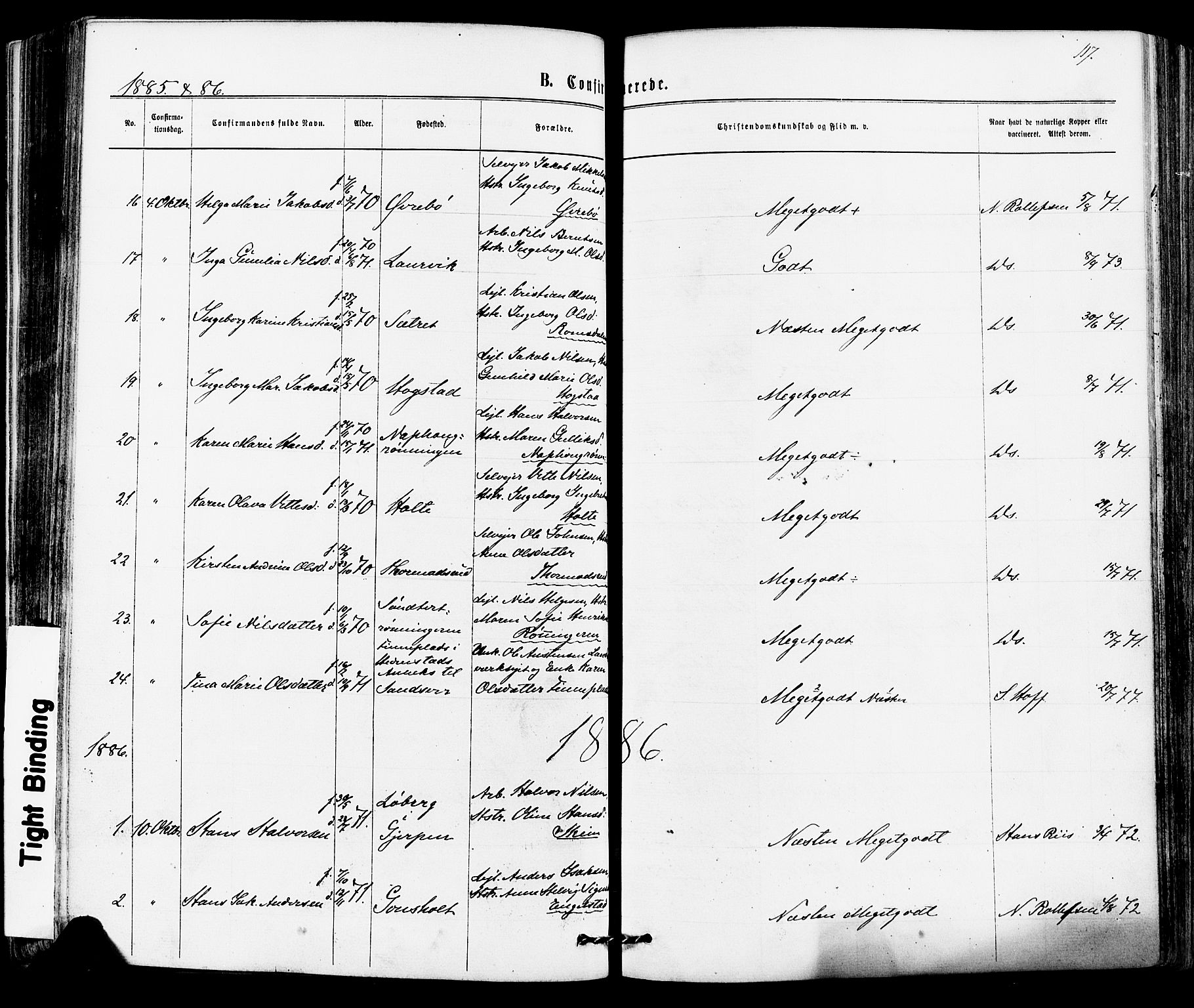 Siljan kirkebøker, SAKO/A-300/F/Fa/L0002: Parish register (official) no. 2, 1870-1895, p. 117