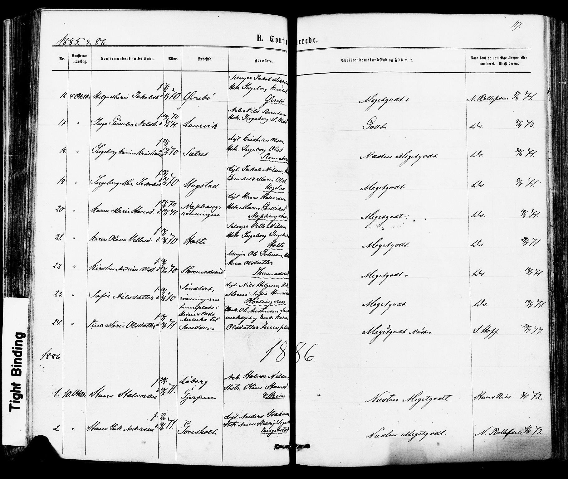 Siljan kirkebøker, AV/SAKO-A-300/F/Fa/L0002: Parish register (official) no. 2, 1870-1895, p. 117