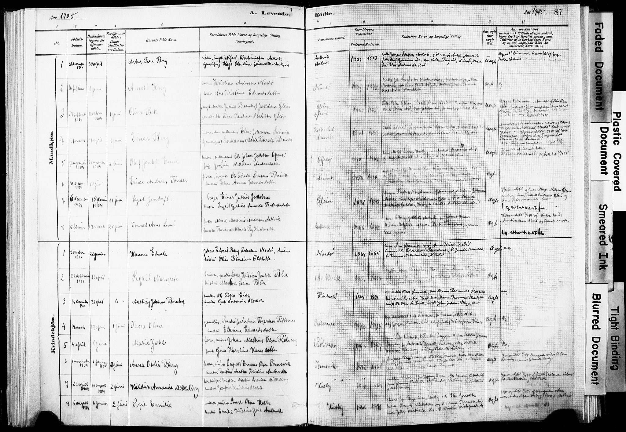 Ministerialprotokoller, klokkerbøker og fødselsregistre - Nordland, SAT/A-1459/835/L0525: Parish register (official) no. 835A03I, 1881-1910, p. 87