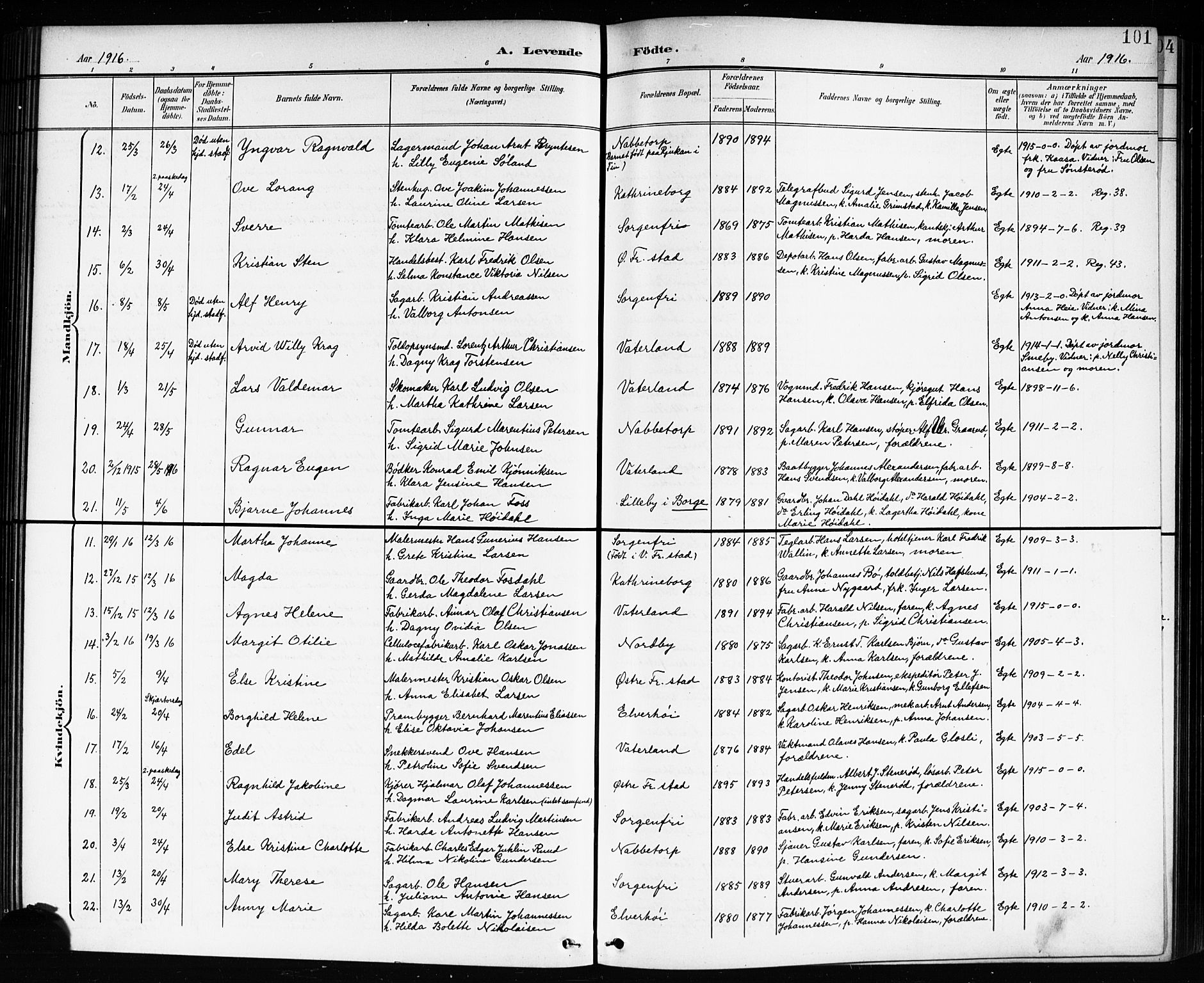 Østre Fredrikstad prestekontor Kirkebøker, AV/SAO-A-10907/G/Ga/L0002: Parish register (copy) no. 2, 1900-1919, p. 101