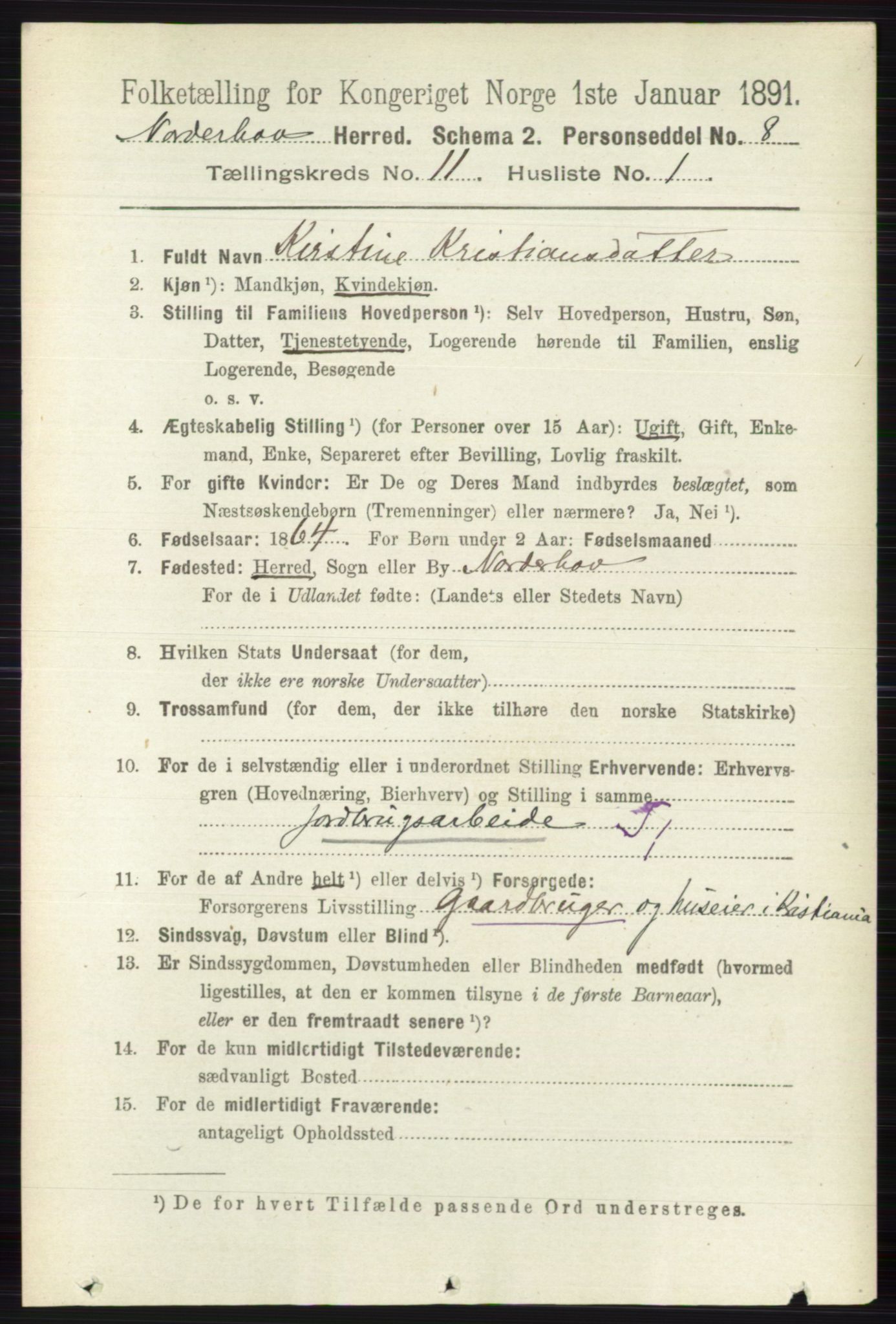 RA, 1891 census for 0613 Norderhov, 1891, p. 8069