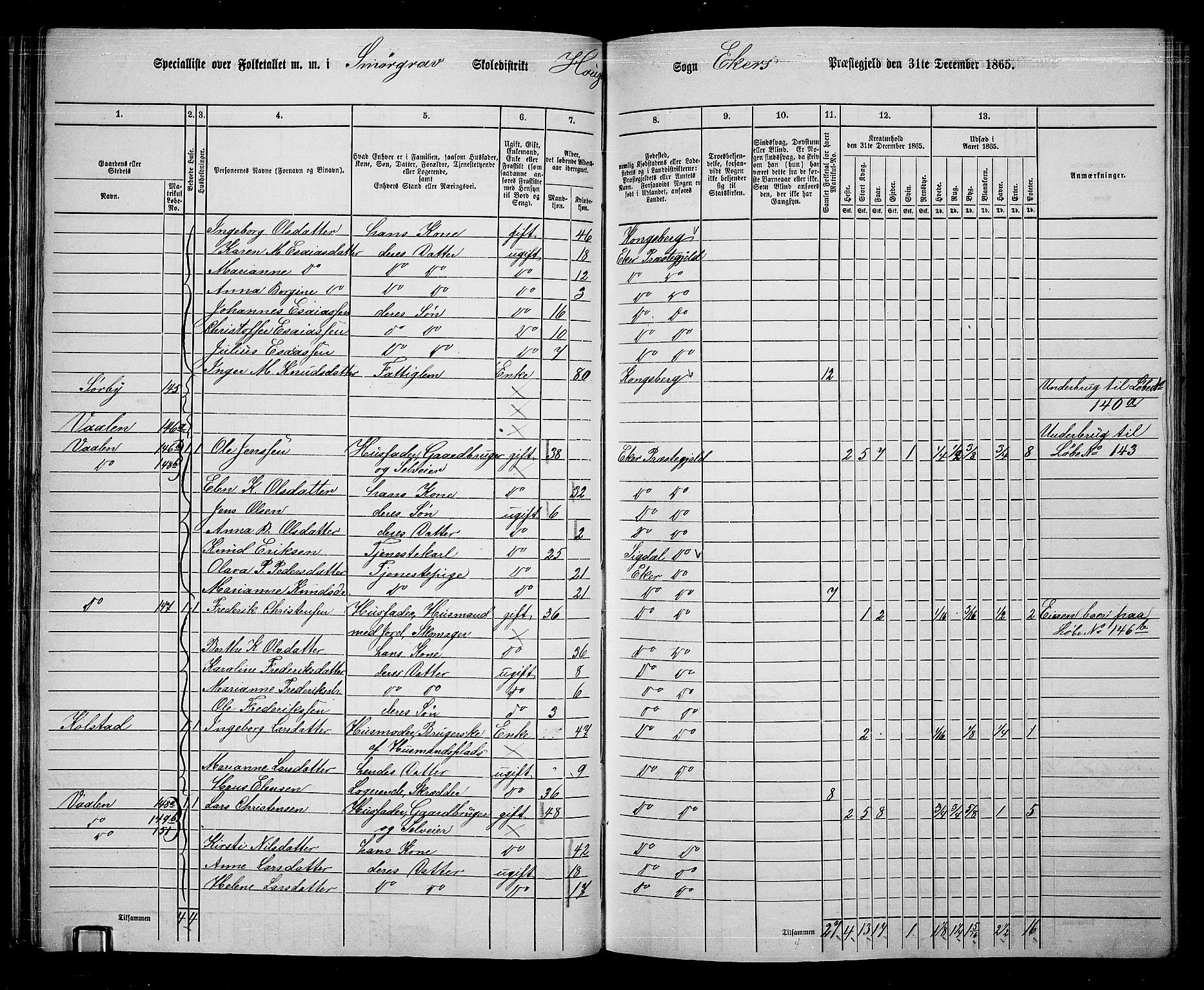RA, 1865 census for Eiker, 1865, p. 47