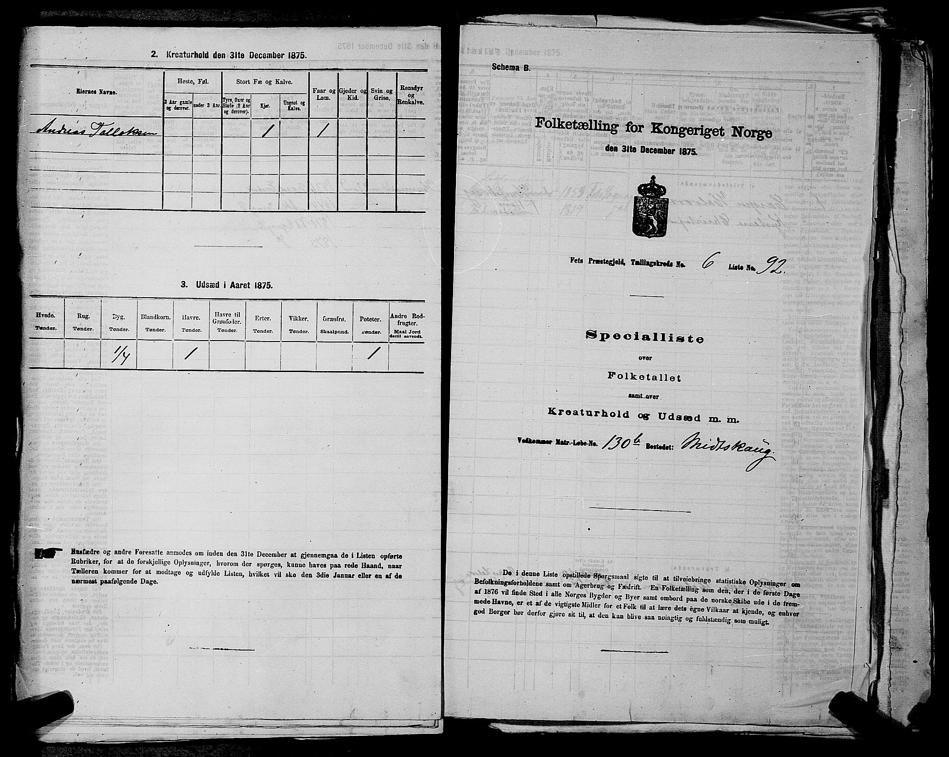 RA, 1875 census for 0227P Fet, 1875, p. 985