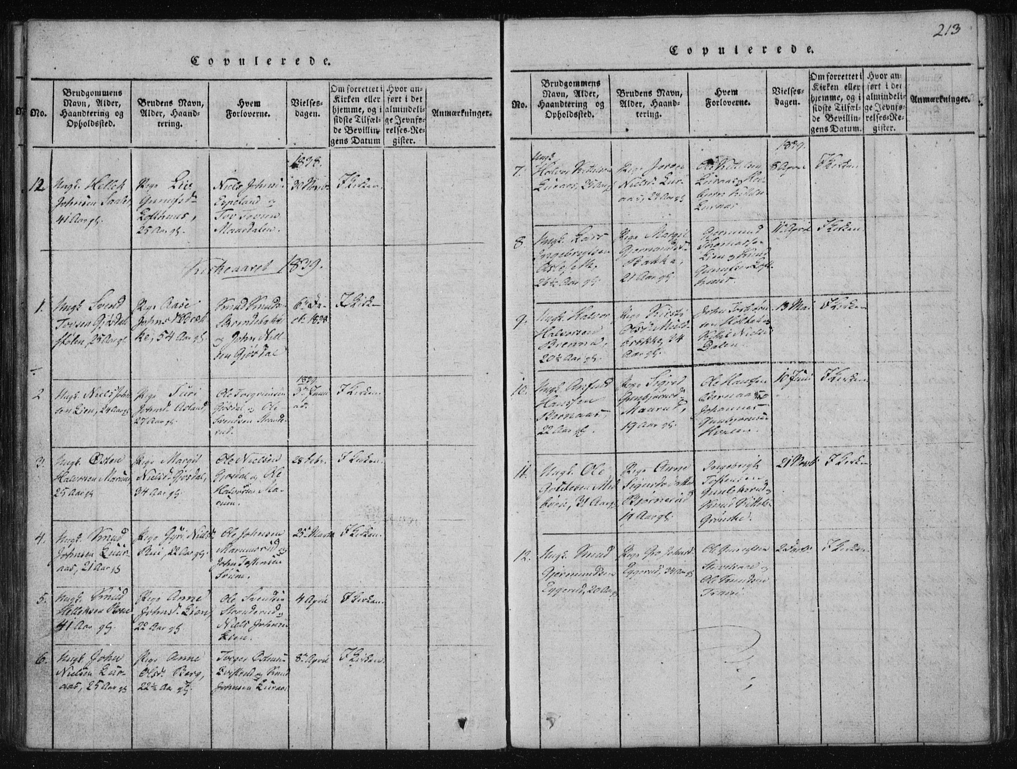 Tinn kirkebøker, SAKO/A-308/F/Fa/L0004: Parish register (official) no. I 4, 1815-1843, p. 212b-213a