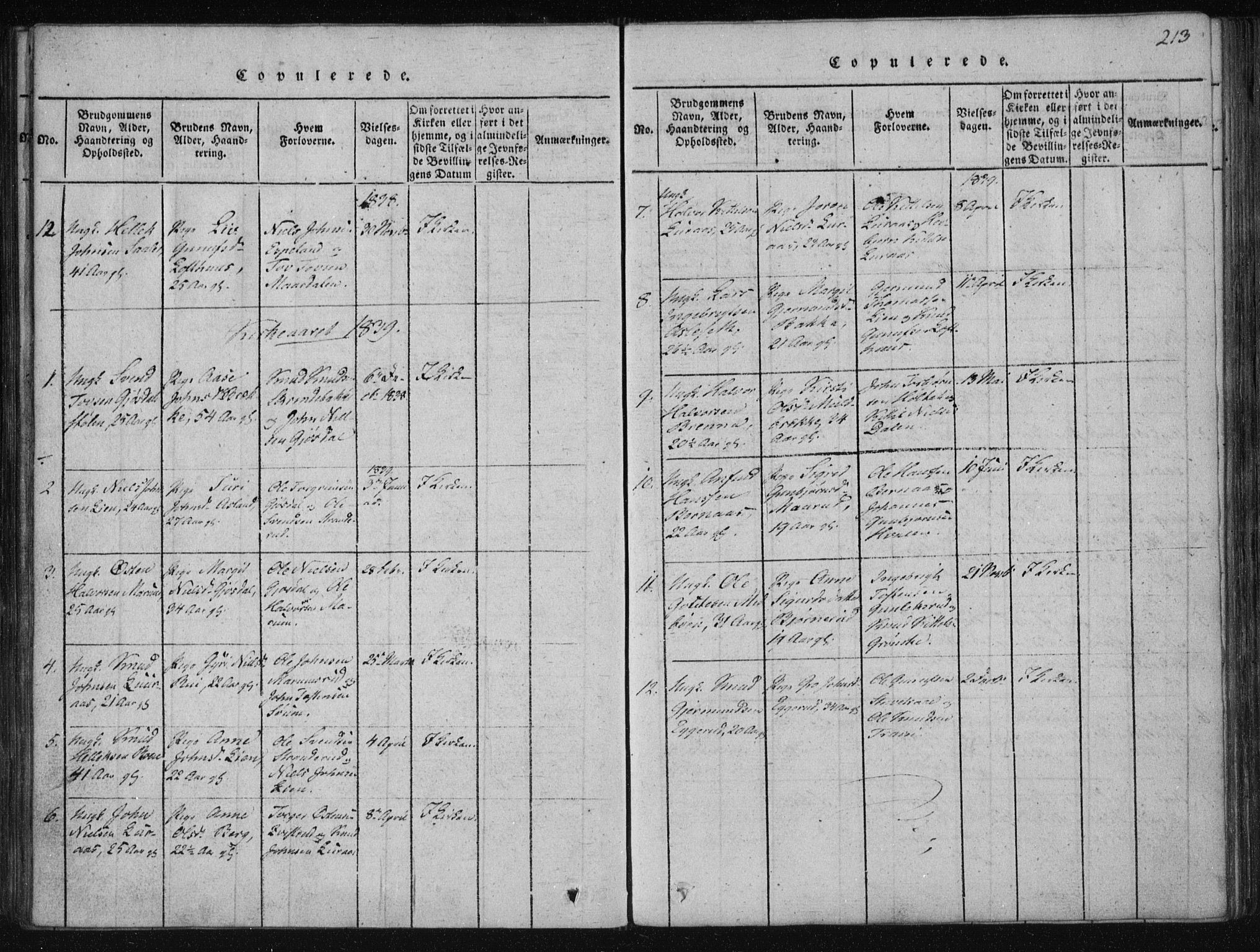 Tinn kirkebøker, AV/SAKO-A-308/F/Fa/L0004: Parish register (official) no. I 4, 1815-1843, p. 212b-213a